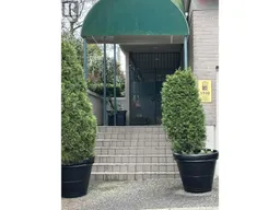 history photo preview