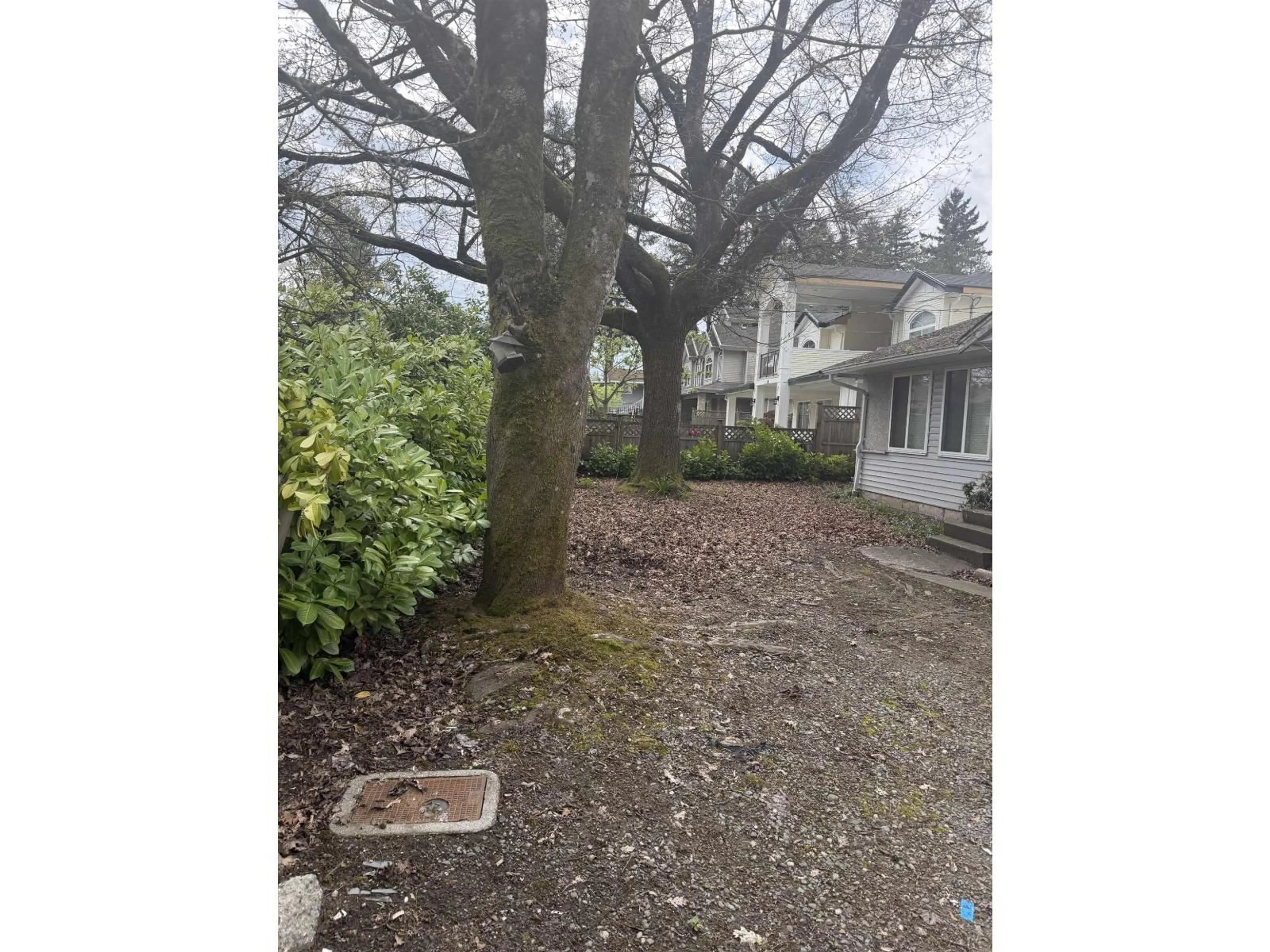 Unknown for 10269 132 STREET, Surrey British Columbia V3T3T8