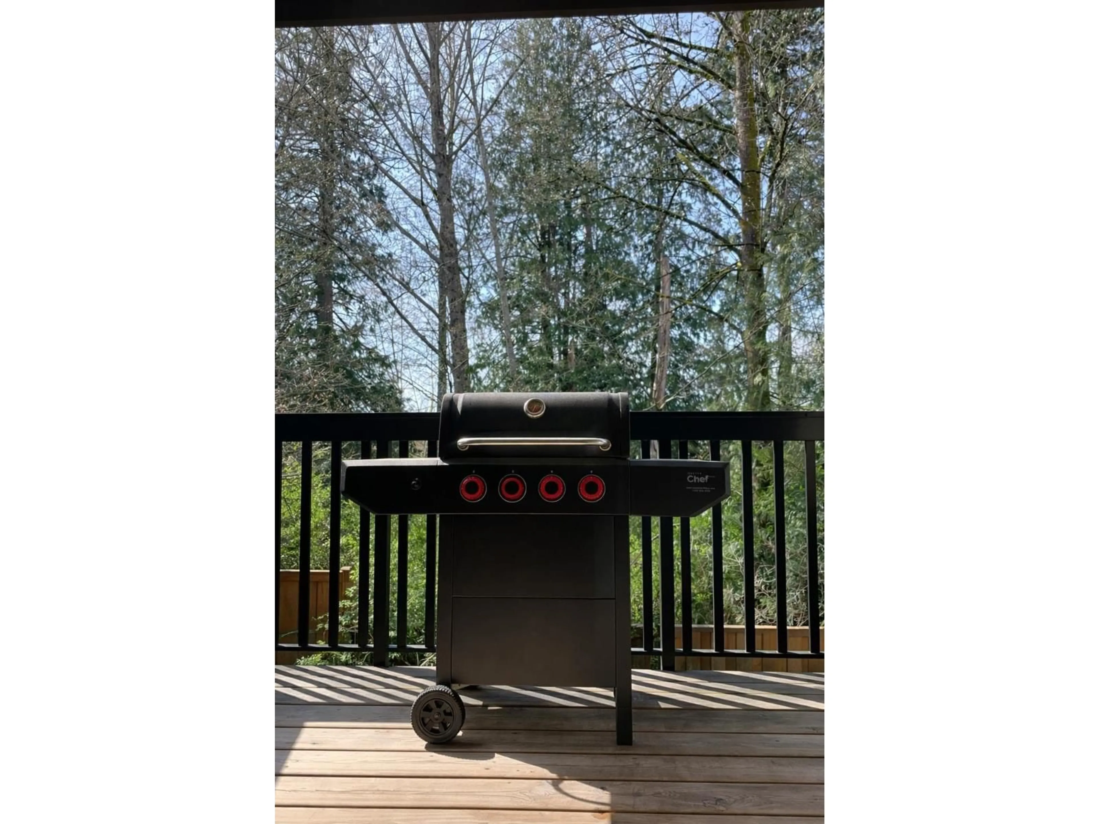 Patio, forest/trees view for 40 - 2979 156 STREET, Surrey British Columbia V3Z8V8