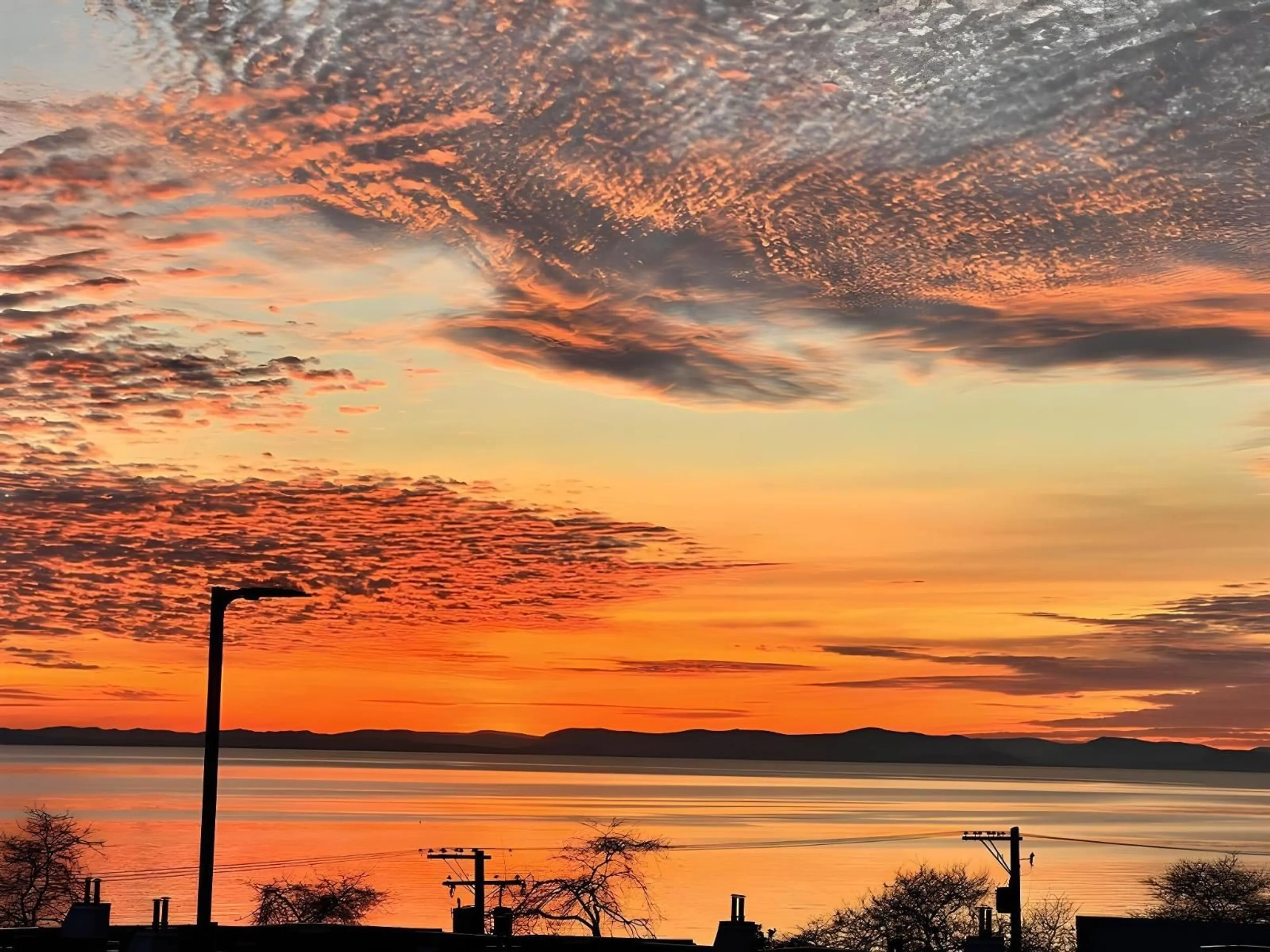 Blurry image for 1246 OXFORD STREET, White Rock British Columbia V4B5G8