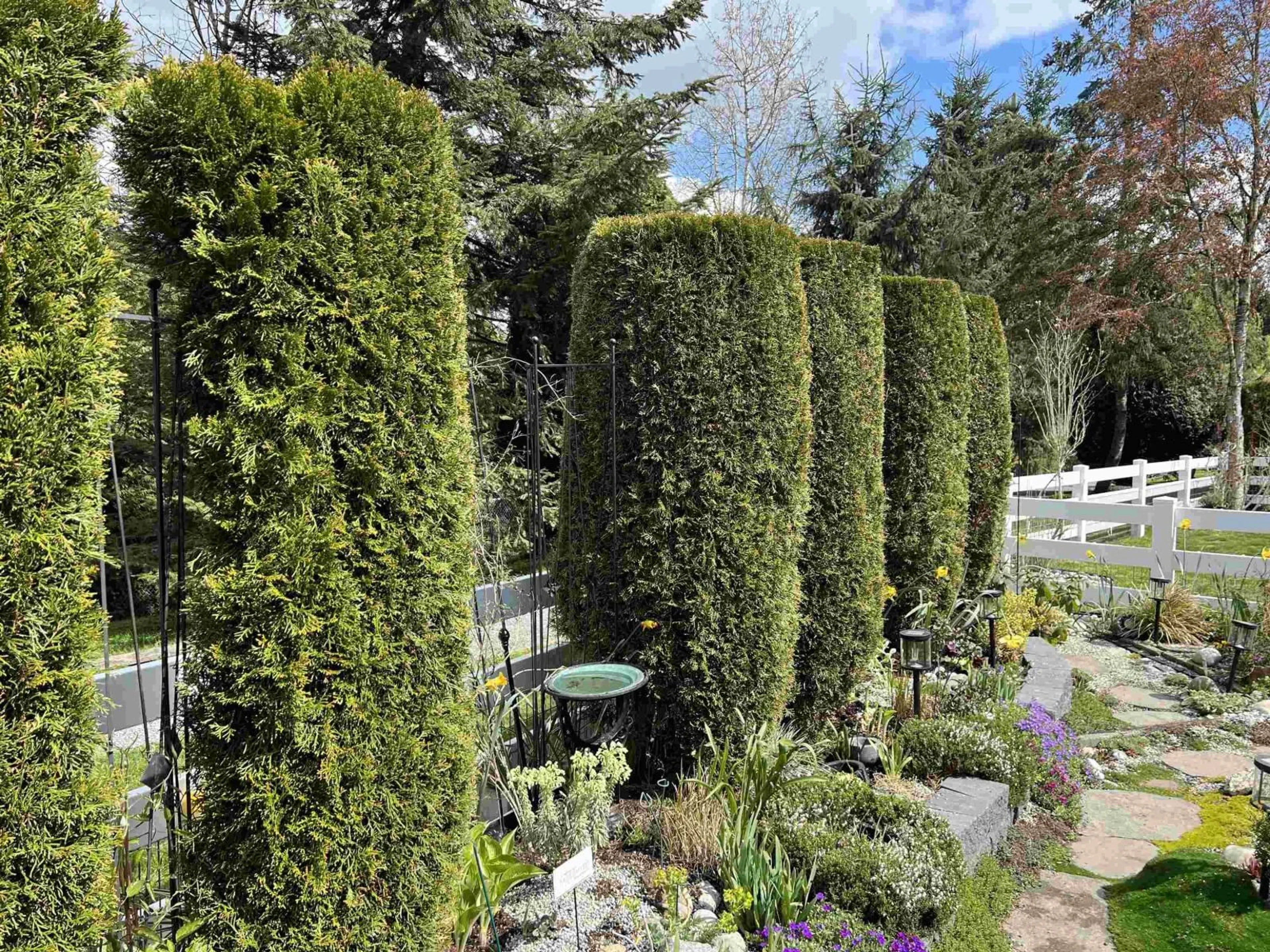 Patio, forest/trees view for 102 - 16995 64TH AVENUE, Surrey British Columbia V3S0V9