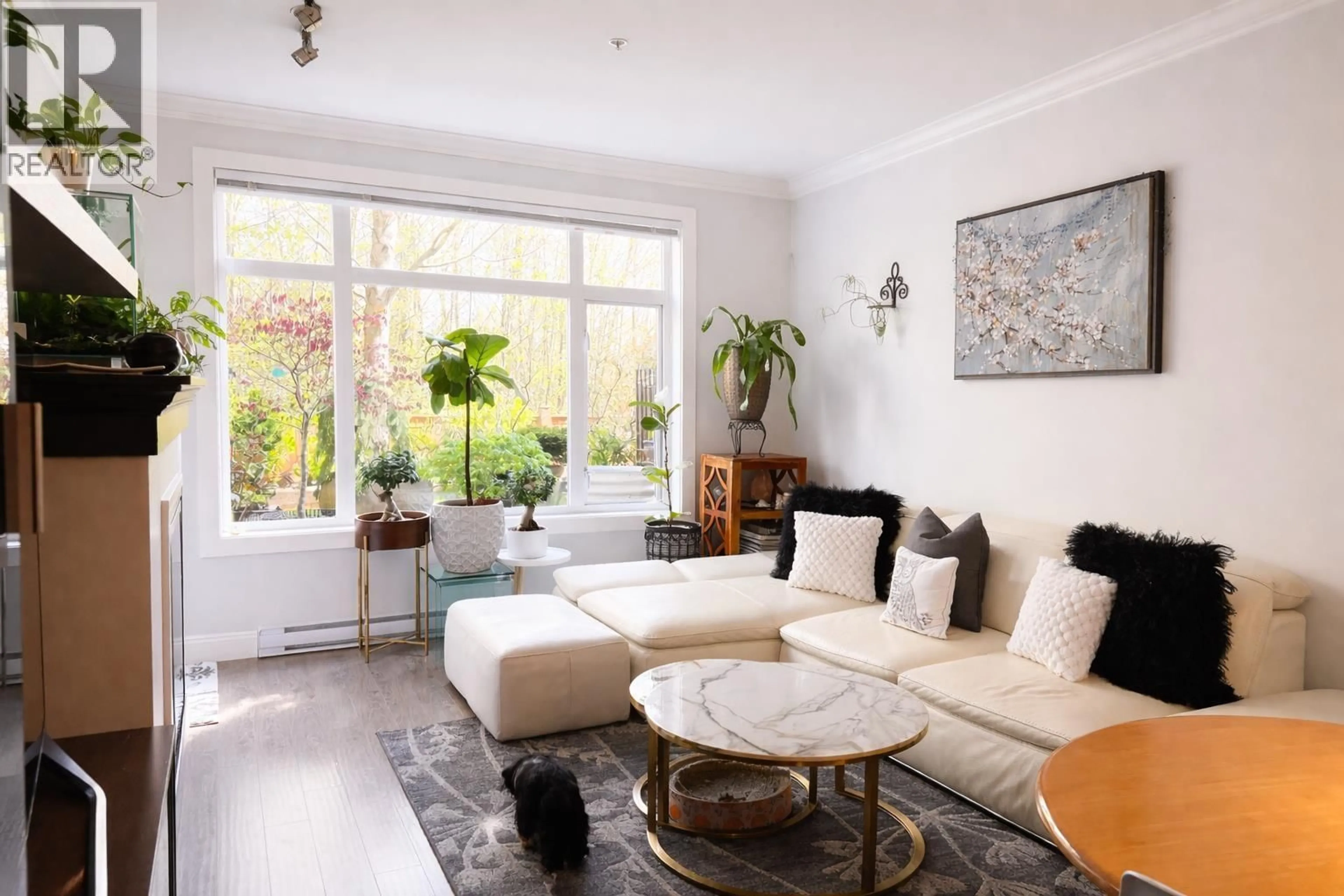 Living room with furniture, unknown for 103 - 11566 224 STREET, Maple Ridge British Columbia V2X9C9