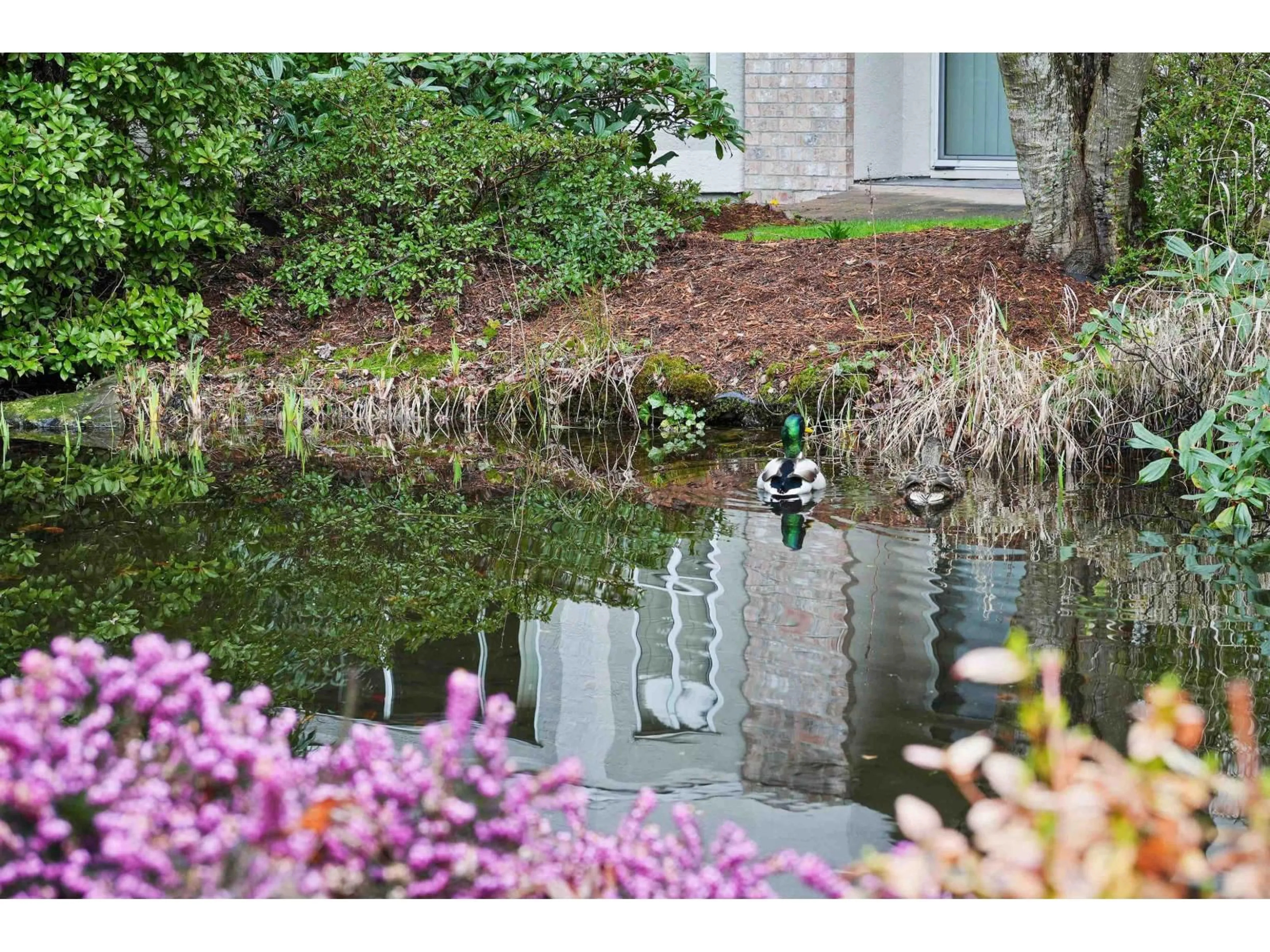 A pic from outside/outdoor area/front of a property/back of a property/a pic from drone, water/lake/river/ocean view for 111 - 7171 121ST STREET, Surrey British Columbia V3W1G9