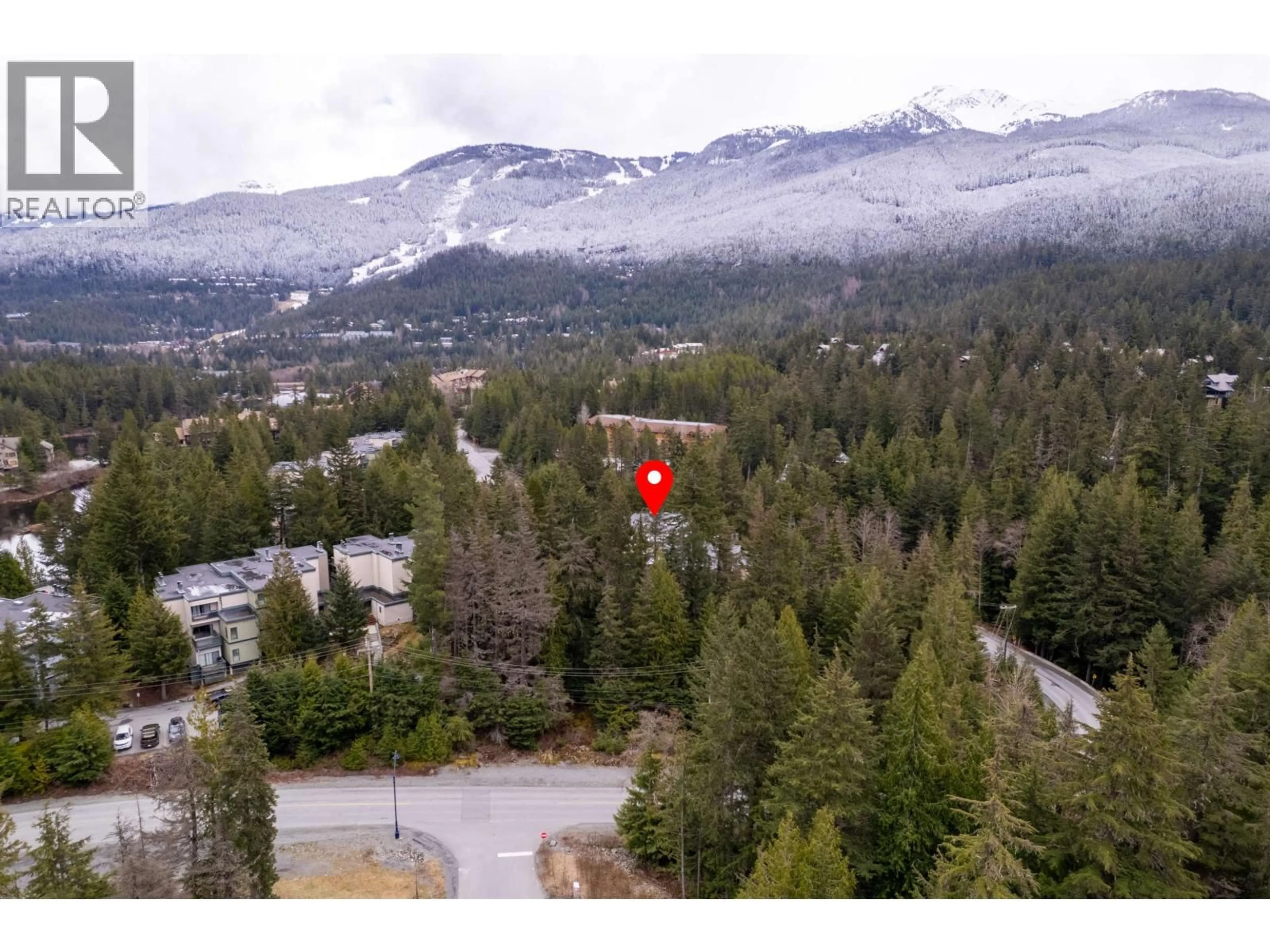 A pic from outside/outdoor area/front of a property/back of a property/a pic from drone, mountain view for F201 - 1400 ALTA LAKE ROAD, Whistler British Columbia V8E0G9