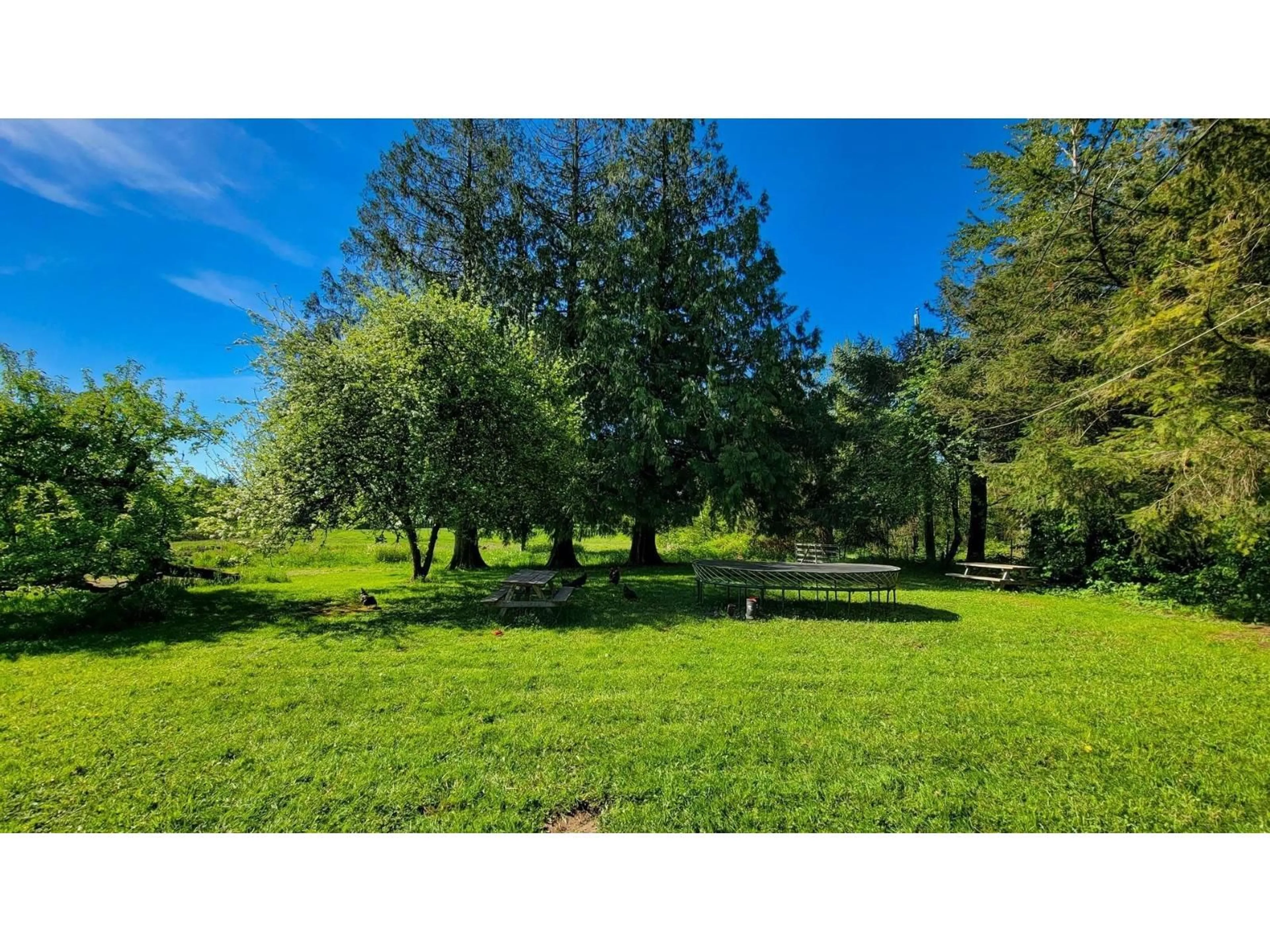 A pic from outside/outdoor area/front of a property/back of a property/a pic from drone, forest/trees view for 782 240 STREET, Langley British Columbia V2Z2X6