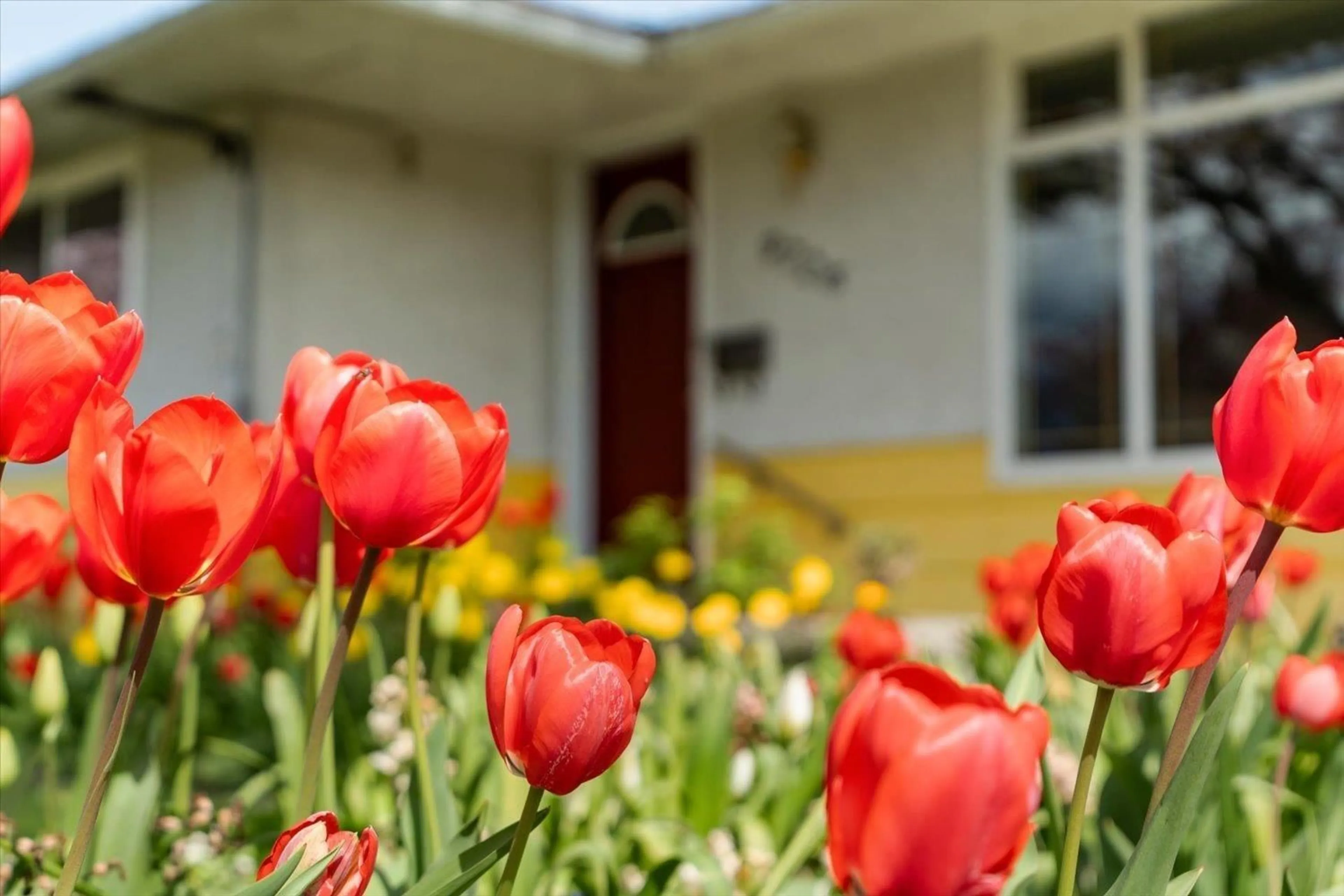 Home with vinyl exterior material, street for 9726 JUNIPER STREET, Chilliwack British Columbia V2P5J1