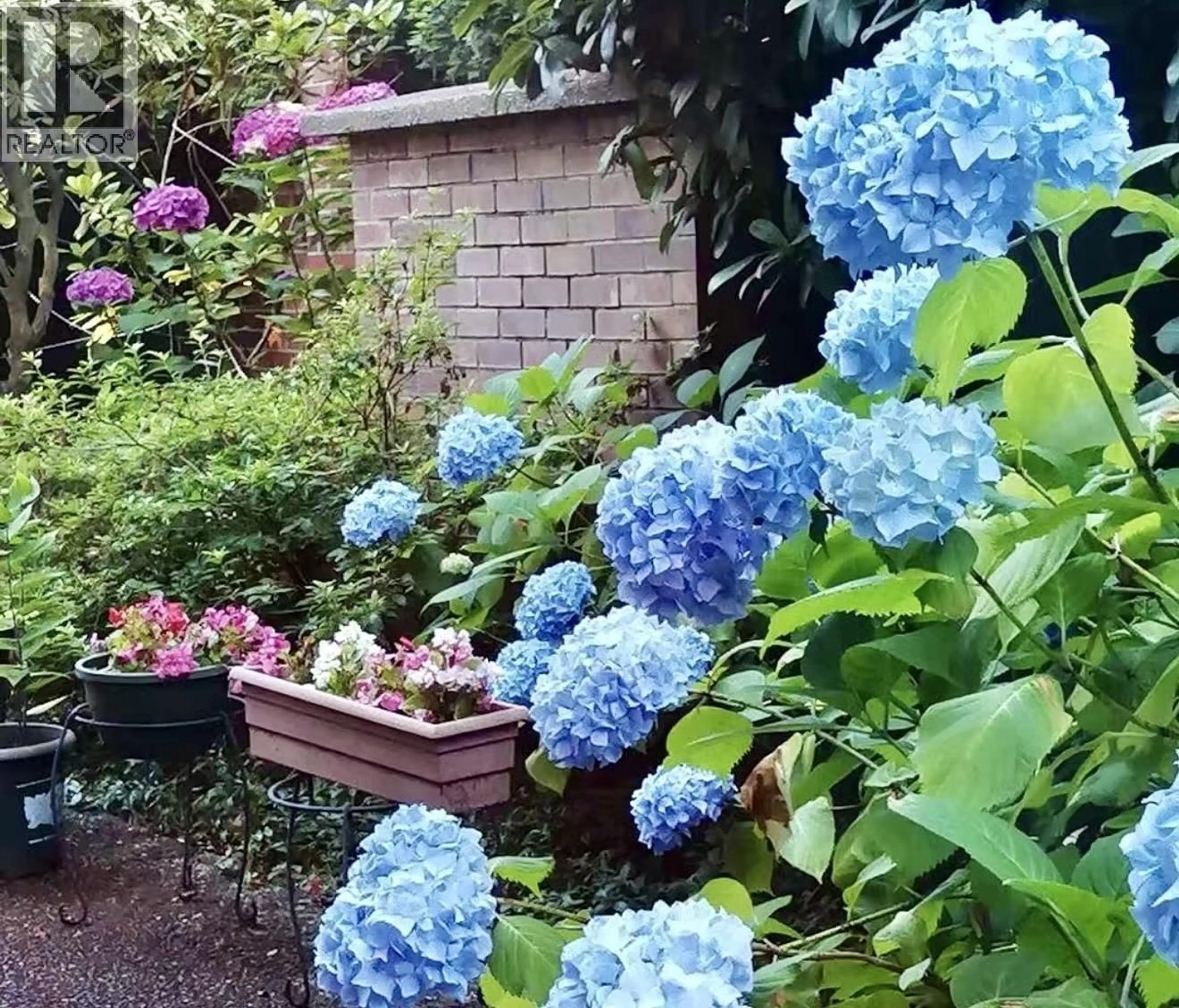 Patio, street for 101 - 7231 ANTRIM AVENUE, Burnaby British Columbia V5J5H5