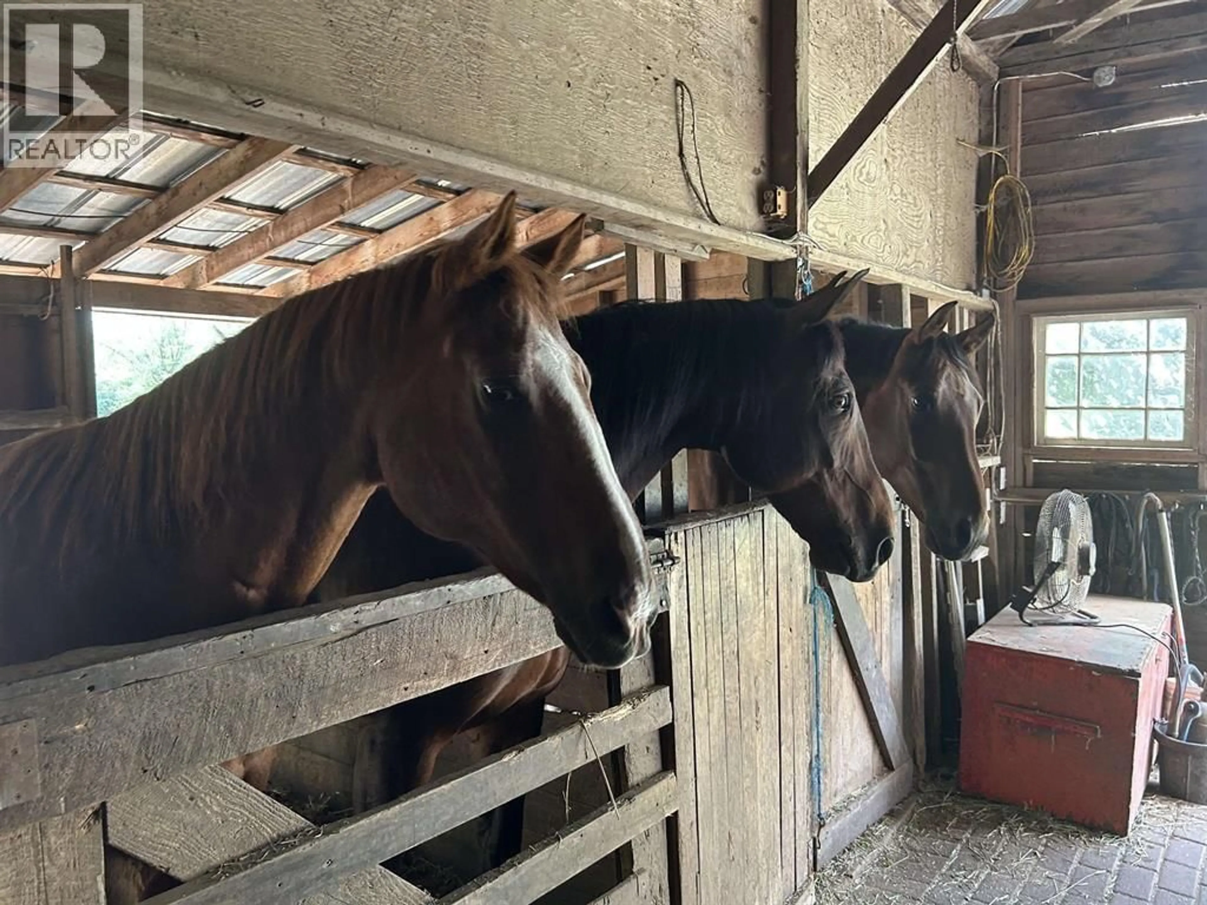 Blurry image for 11693 246 STREET, Maple Ridge British Columbia V4R1K7