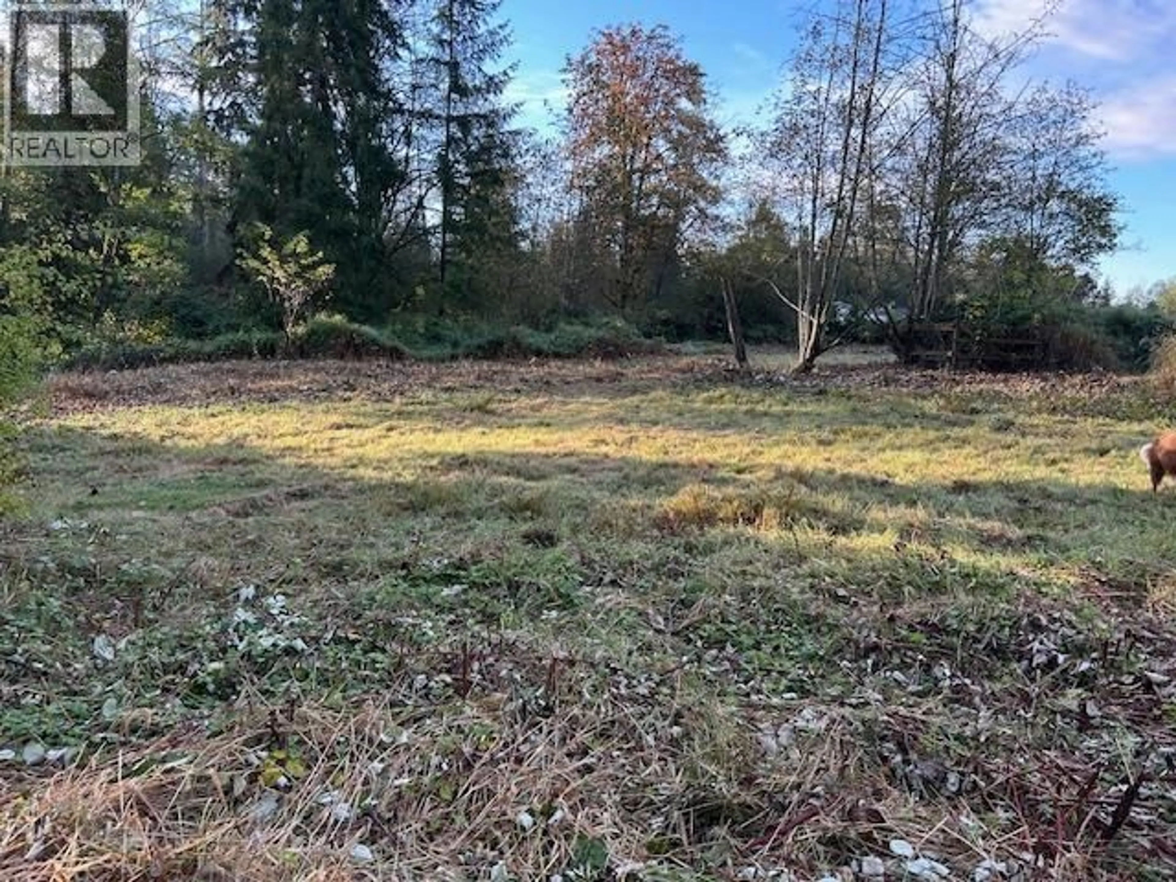 A pic from outside/outdoor area/front of a property/back of a property/a pic from drone, forest/trees view for 11693 246 STREET, Maple Ridge British Columbia V4R1K7