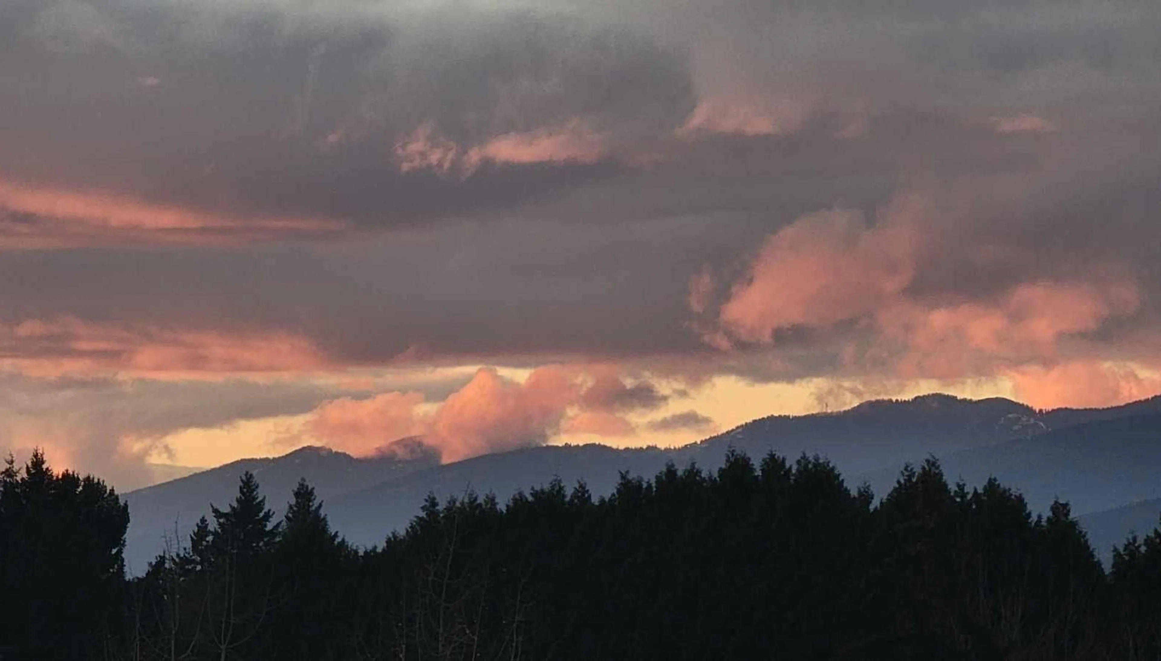 Blurry image for 1005 - 11910 80 AVENUE, Delta British Columbia V4C8E3