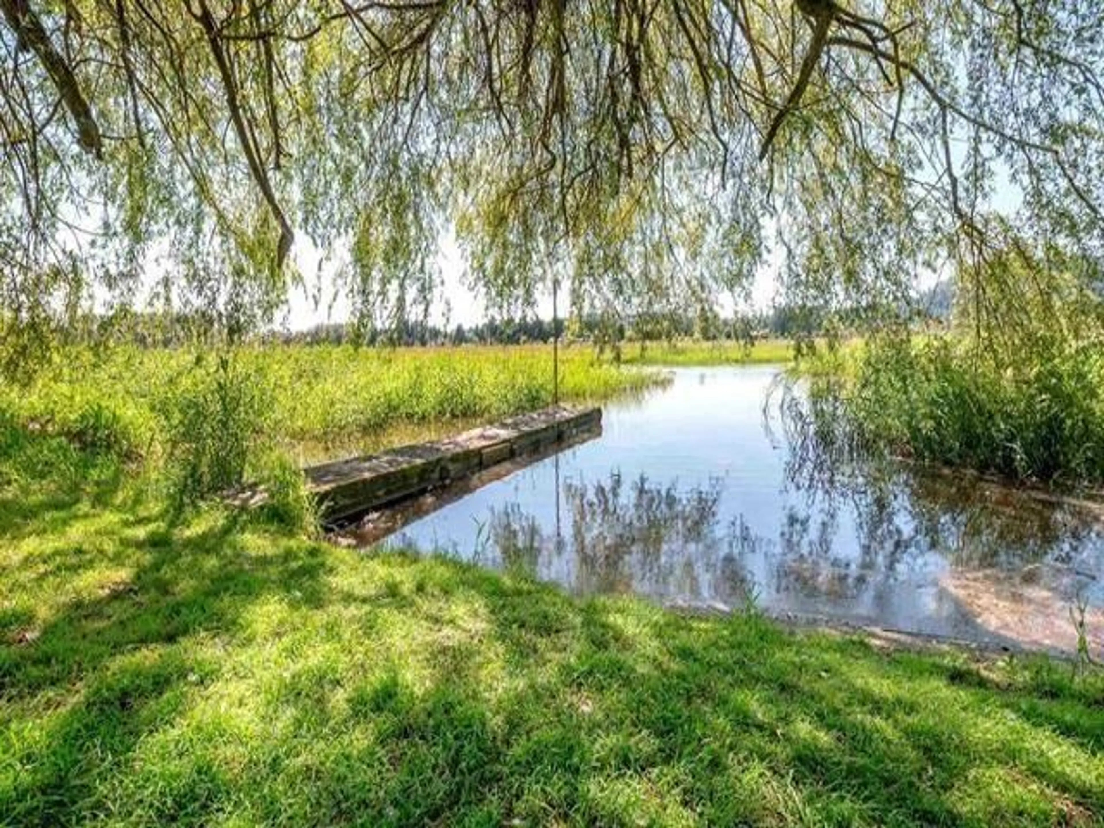 A pic from outside/outdoor area/front of a property/back of a property/a pic from drone, water/lake/river/ocean view for 36071 SHORE ROAD, Mission British Columbia V2V4J1