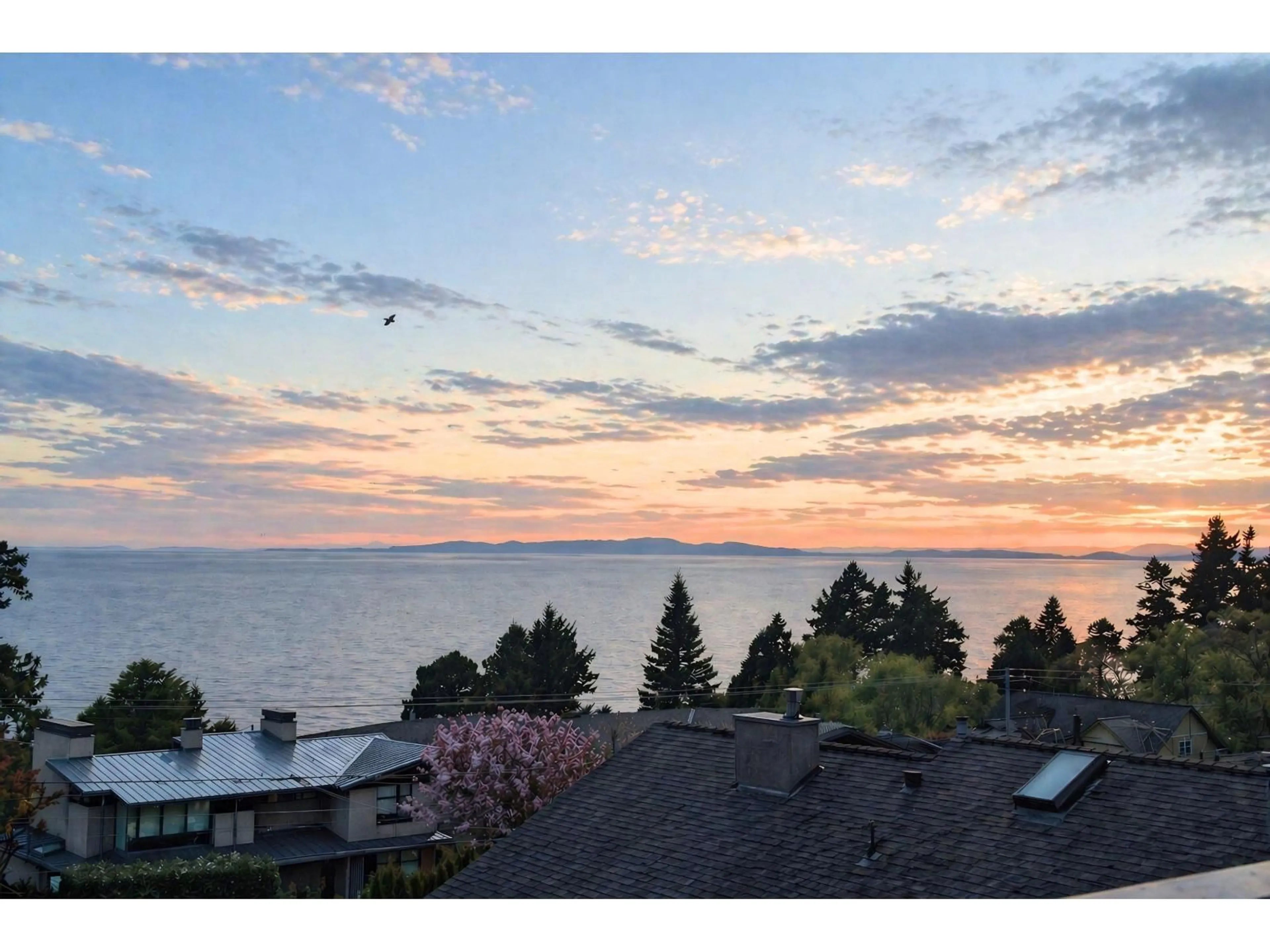 A pic from outside/outdoor area/front of a property/back of a property/a pic from drone, water/lake/river/ocean view for 13407 MARINE DRIVE, Surrey British Columbia V4A1G1