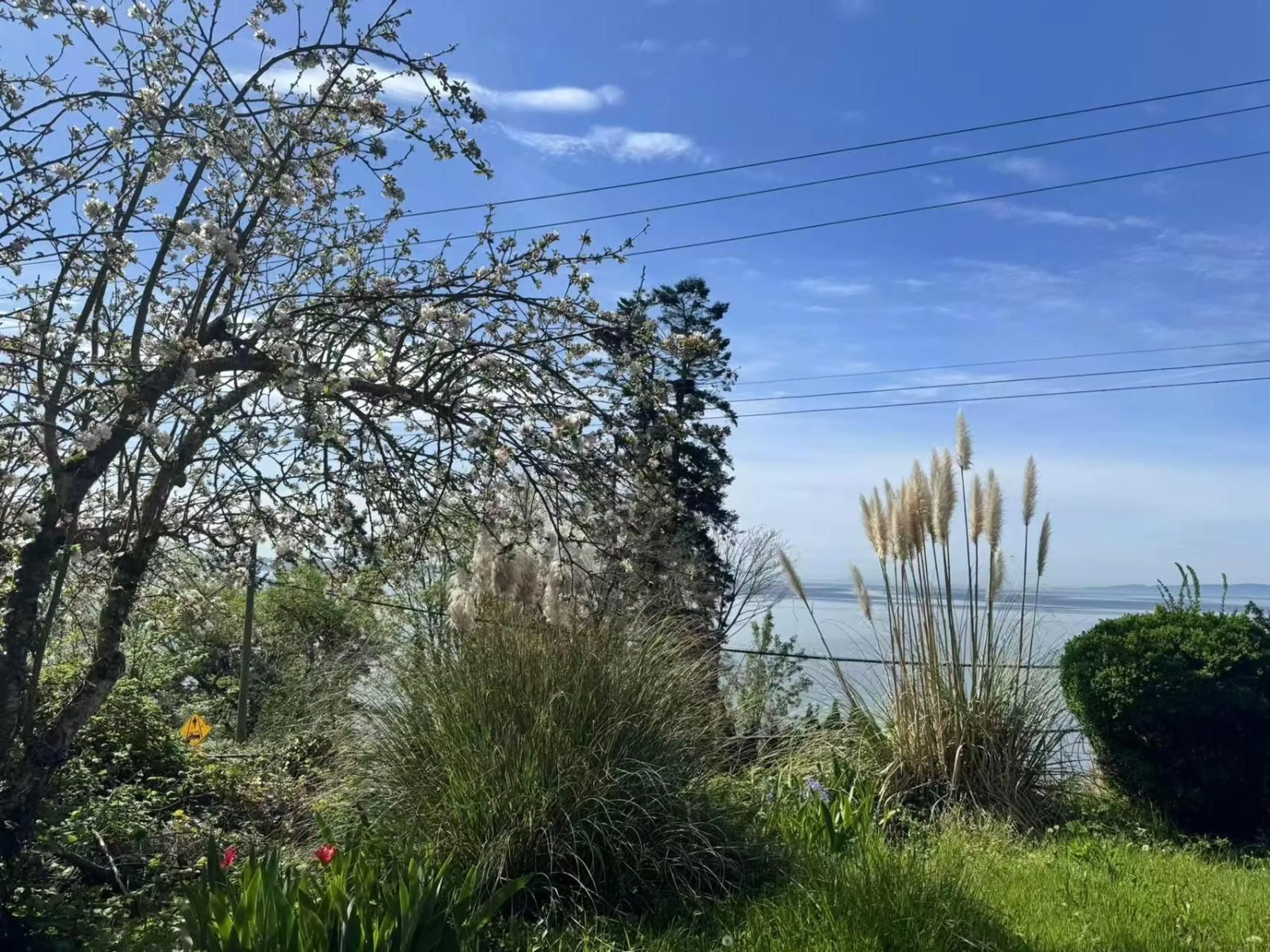 A pic from outside/outdoor area/front of a property/back of a property/a pic from drone, water/lake/river/ocean view for 14391 MARINE DRIVE, White Rock British Columbia V4B1B2