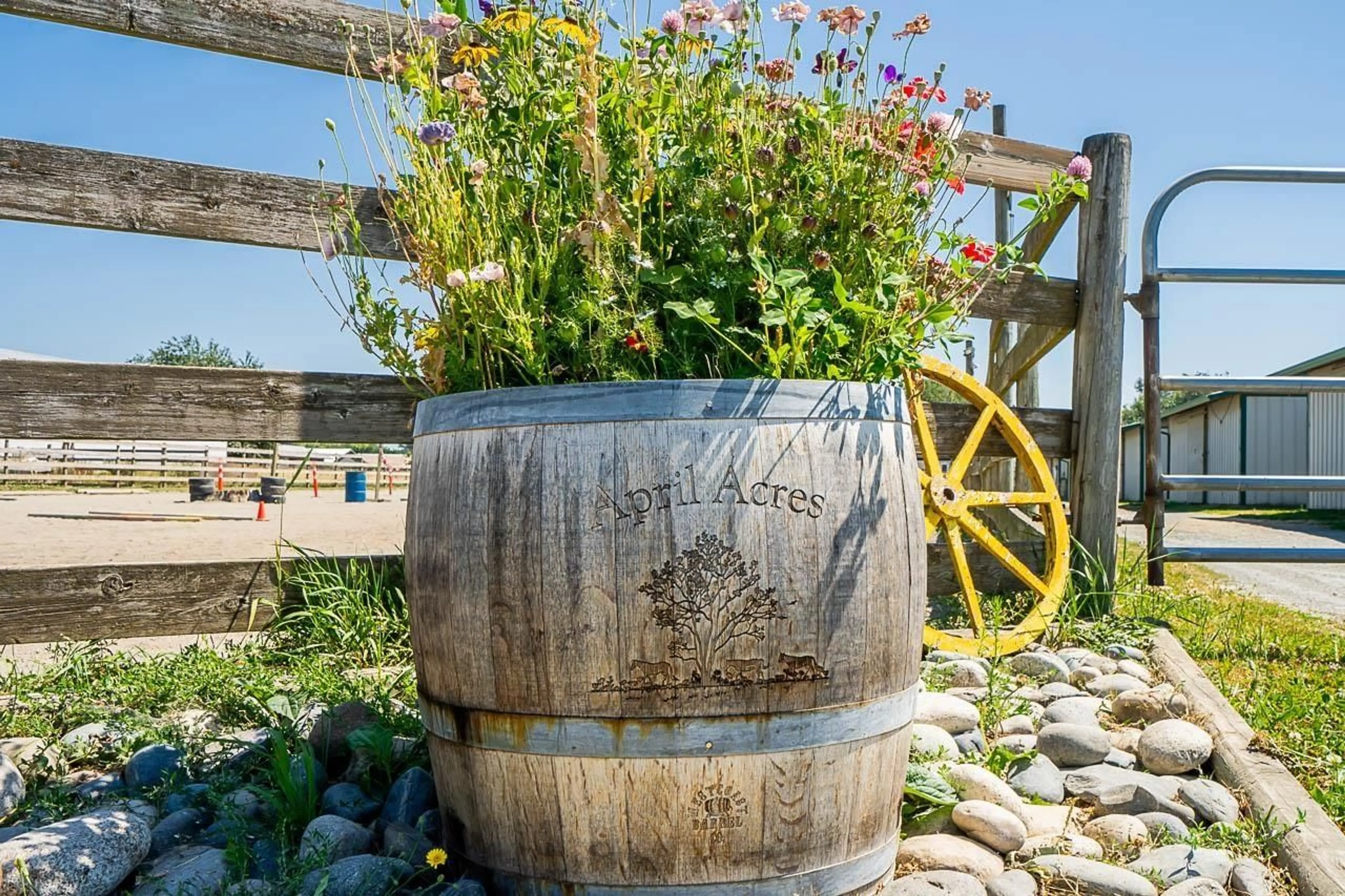 Patio, street for 42050 KEITH WILSON ROAD, Sardis - Greendale British Columbia V2R4B2