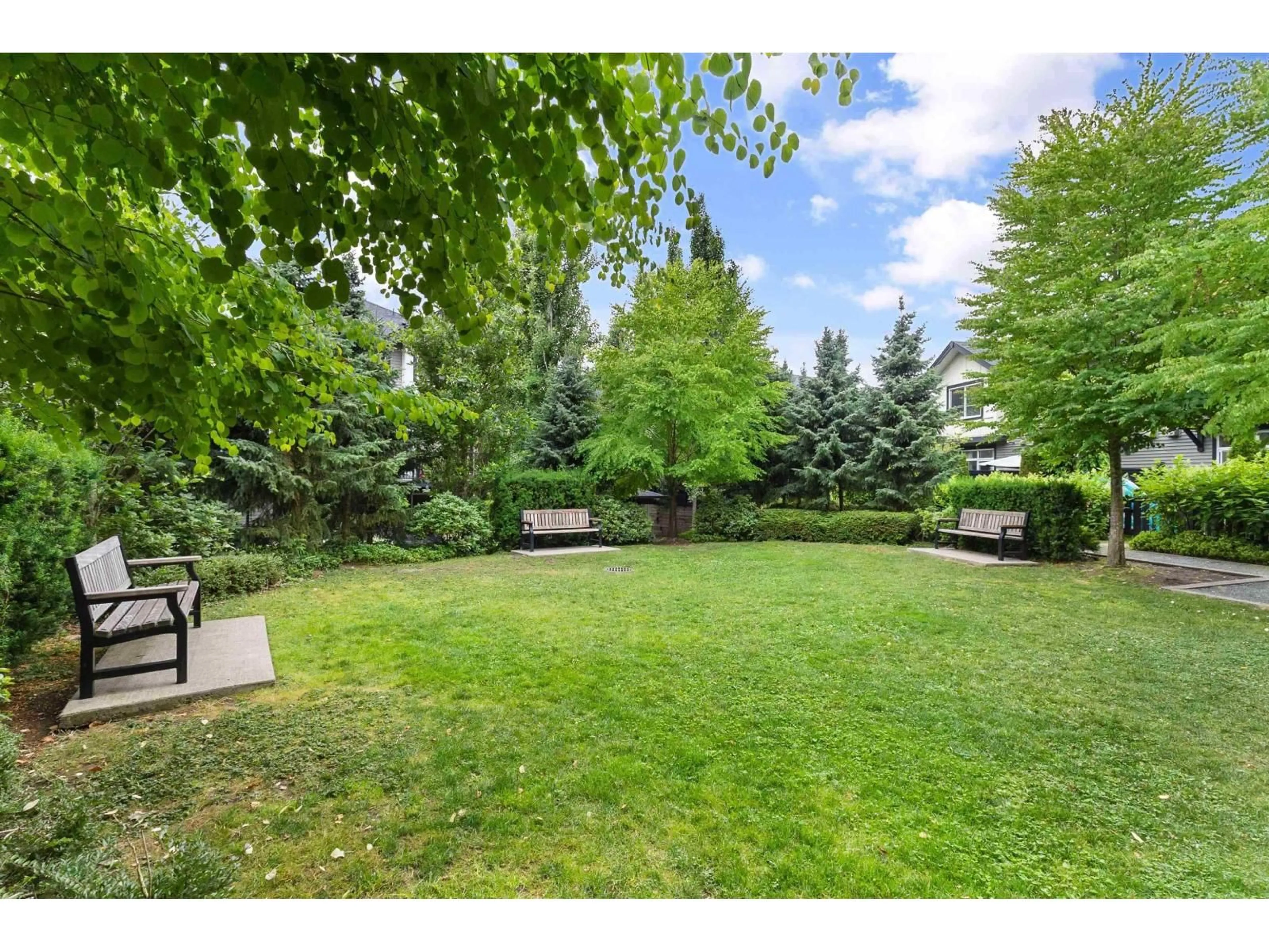 Patio, forest/trees view for 94 - 8570 204 STREET, Langley British Columbia V2Y0T9