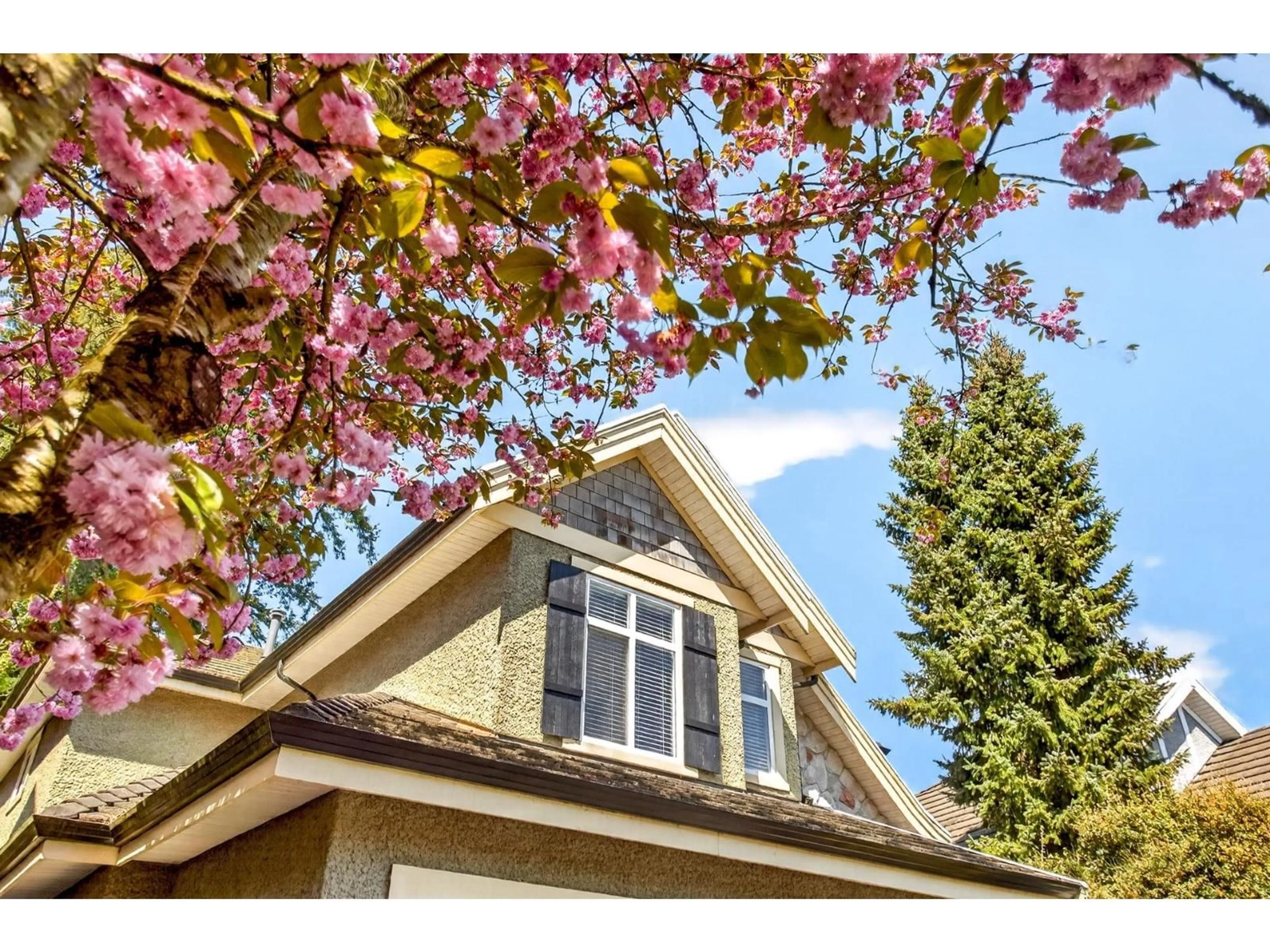 Home with vinyl exterior material, street for 3825 154 STREET, Surrey British Columbia V3Z0V2