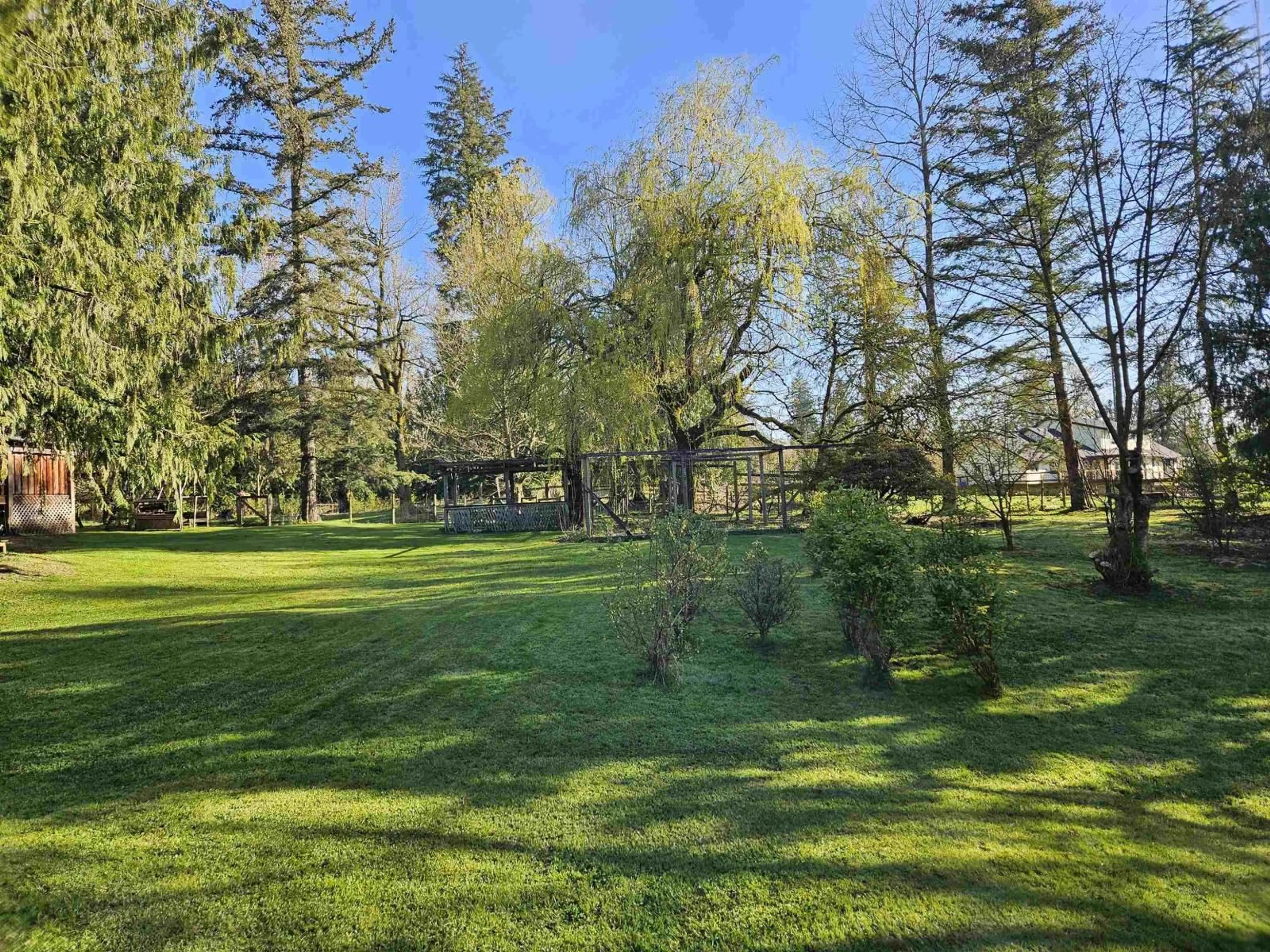 A pic from outside/outdoor area/front of a property/back of a property/a pic from drone, forest/trees view for 25080 4 AVENUE, Langley British Columbia V4W2H3
