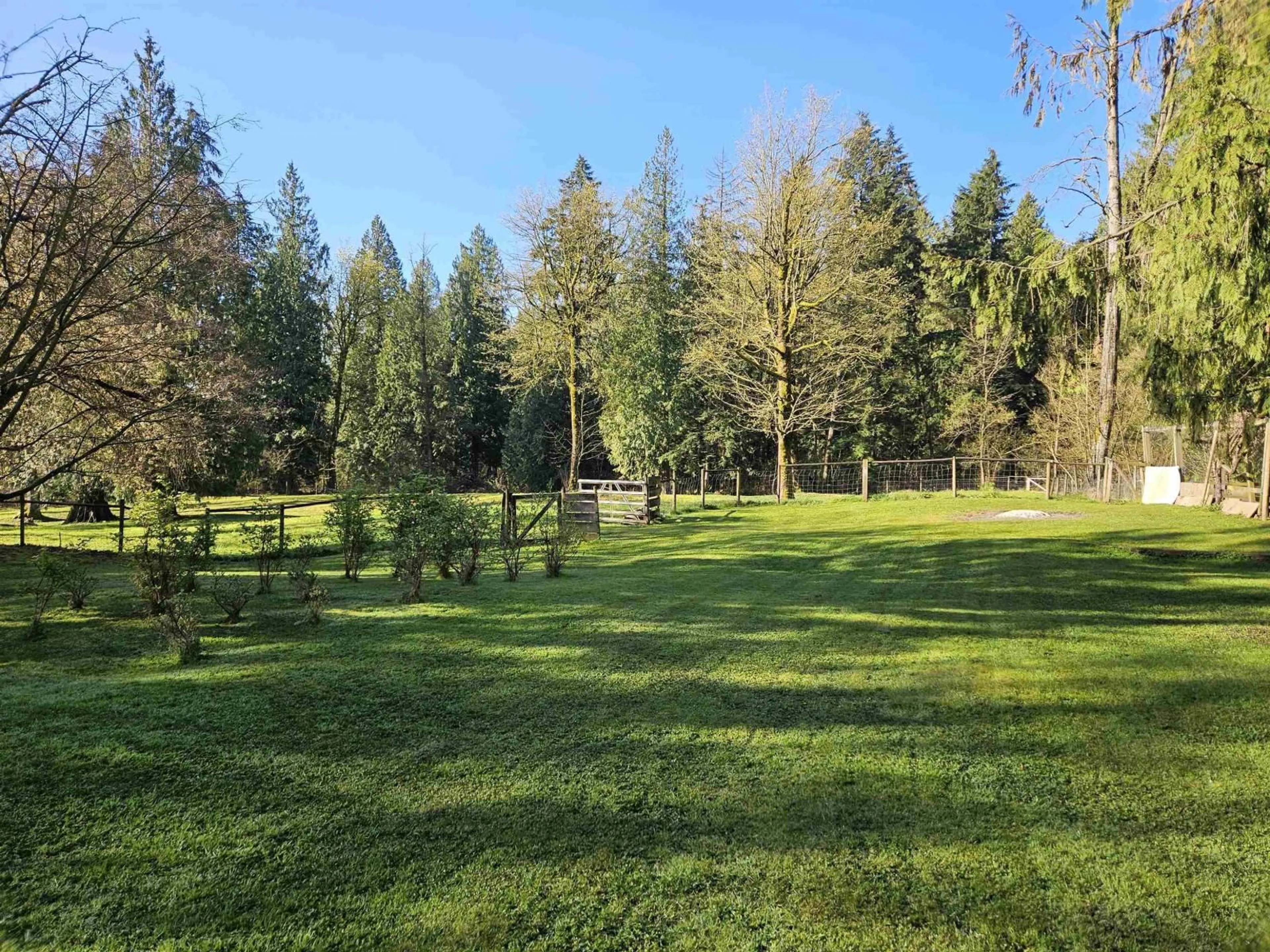 A pic from outside/outdoor area/front of a property/back of a property/a pic from drone, forest/trees view for 25080 4 AVENUE, Langley British Columbia V4W2H3