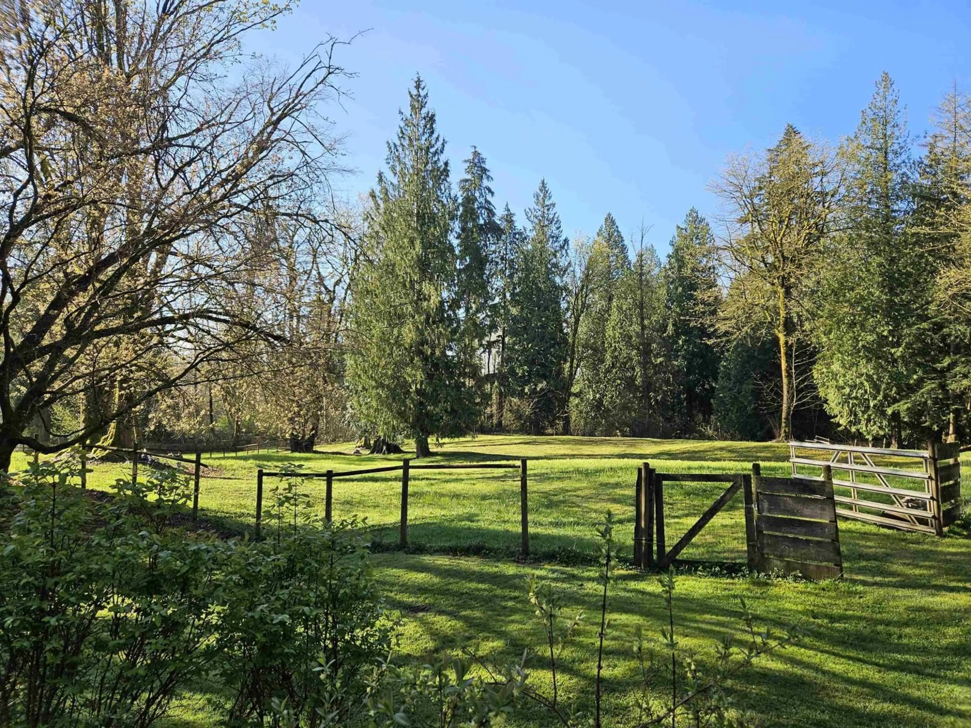 A pic from outside/outdoor area/front of a property/back of a property/a pic from drone, forest/trees view for 25080 4 AVENUE, Langley British Columbia V4W2H3