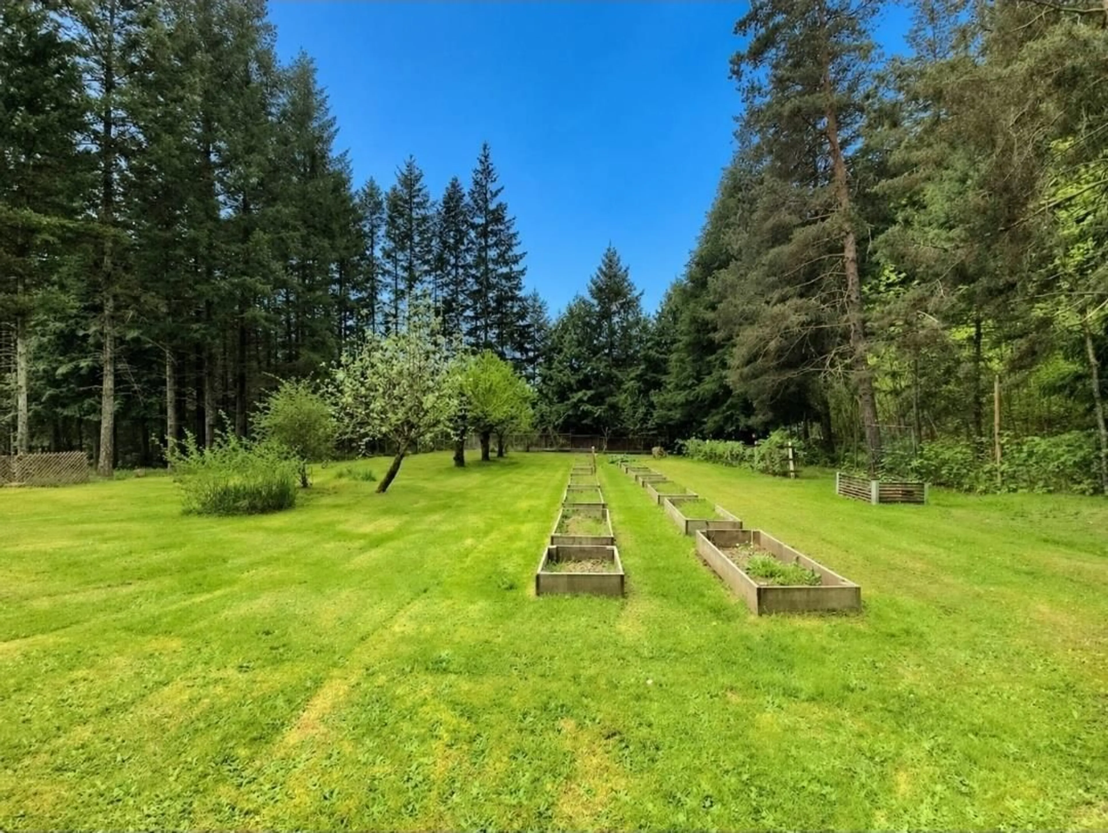 A pic from outside/outdoor area/front of a property/back of a property/a pic from drone, forest/trees view for 27383 DOGWOOD VALLEY ROAD, Hope British Columbia V0X1L3