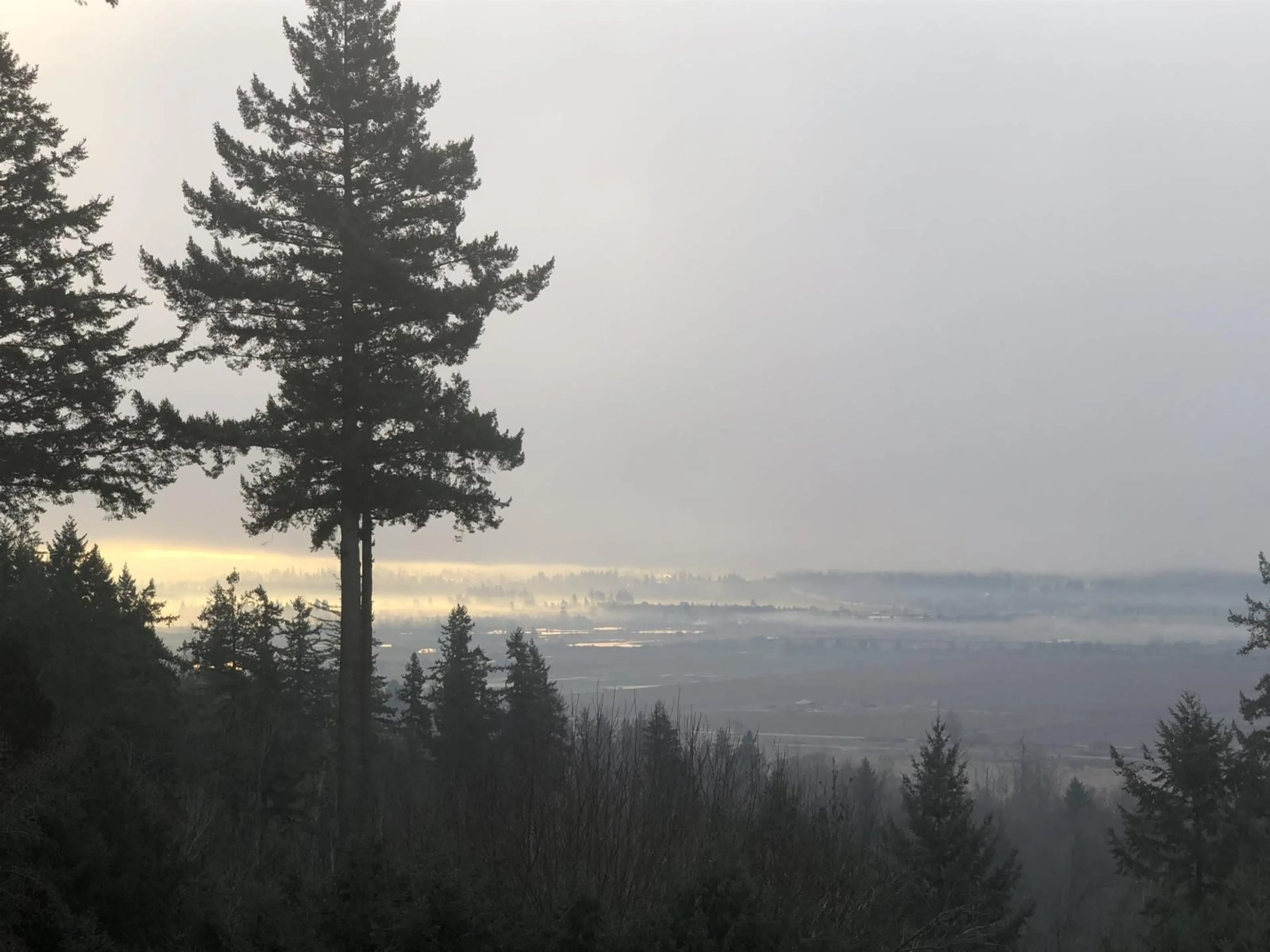 Blurry image for 13634 56 AVENUE, Surrey British Columbia V3X2Z8