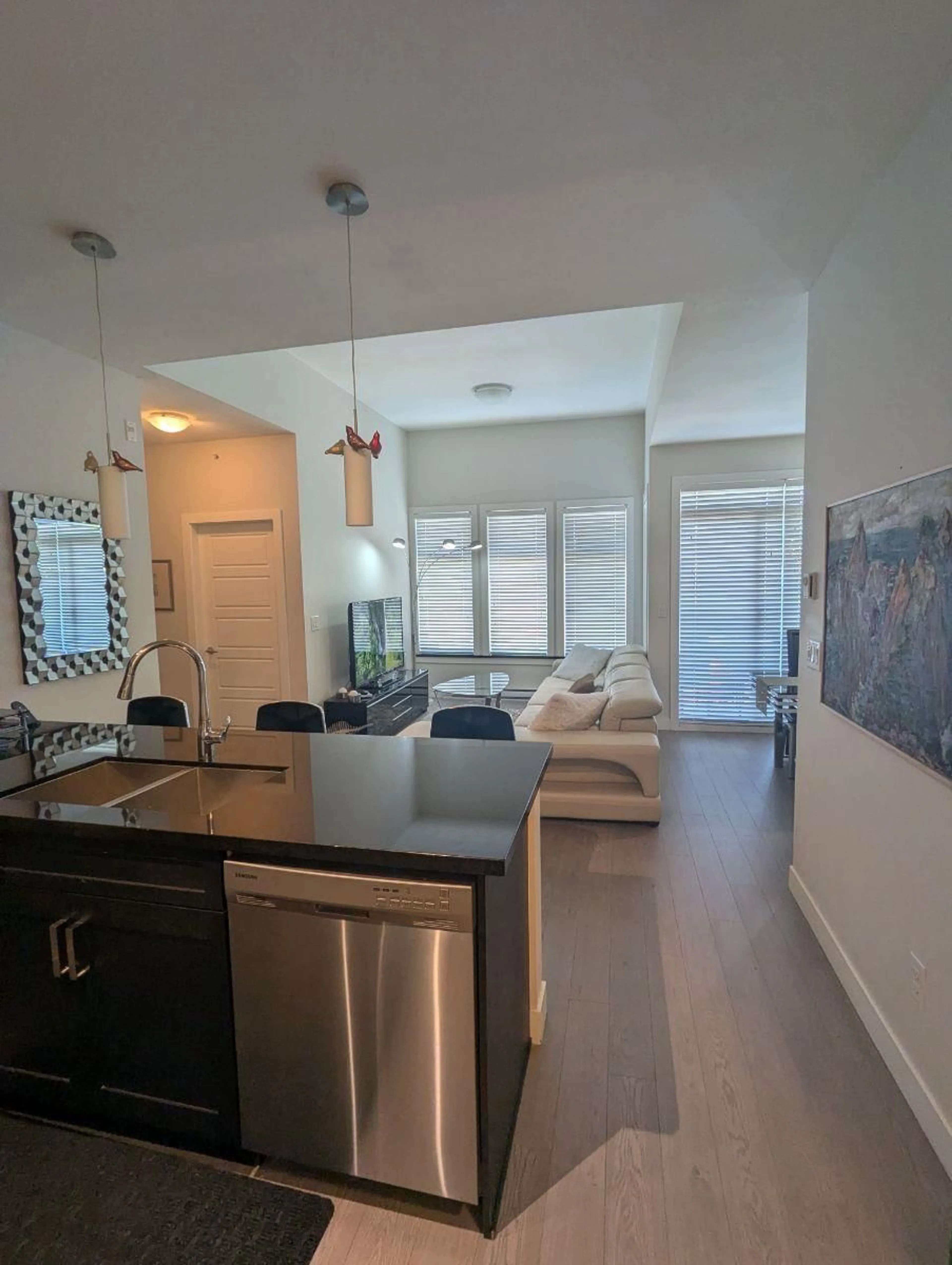 Open concept kitchen, unknown for 401 - 20062 FRASER HIGHWAY, Langley British Columbia V3A0E6