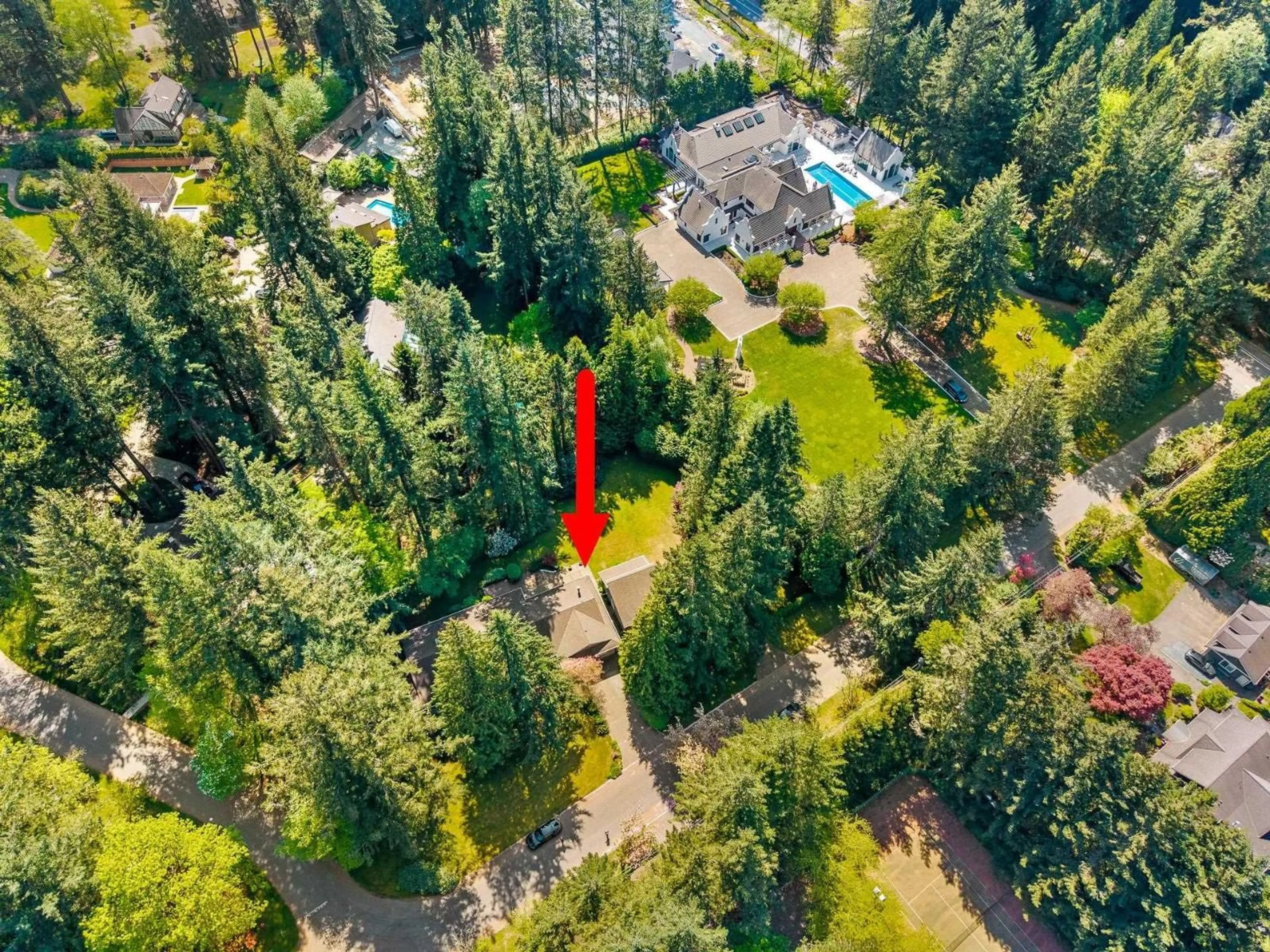 A pic from outside/outdoor area/front of a property/back of a property/a pic from drone, forest/trees view for 13666 30 AVENUE, Surrey British Columbia V4P1T9