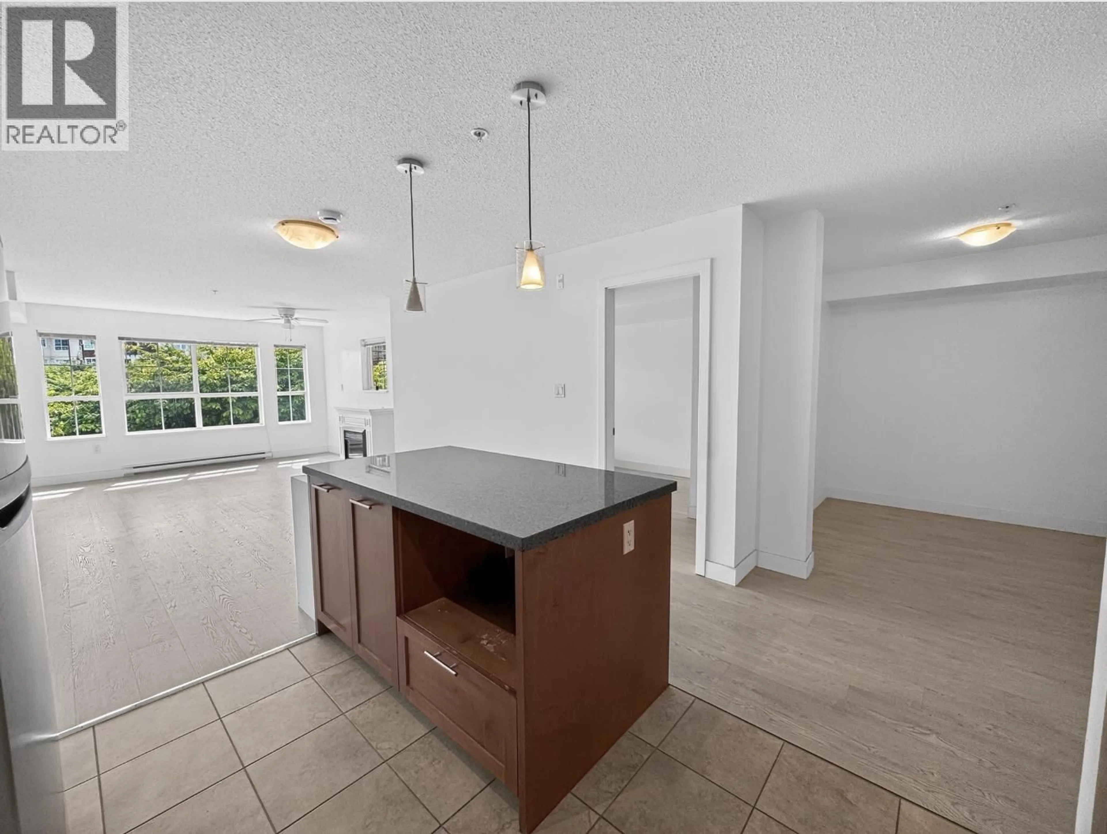 Open concept kitchen, ceramic/tile floor for 207 - 19673 MEADOW GARDENS WAY, Pitt Meadows British Columbia V3Y0A1