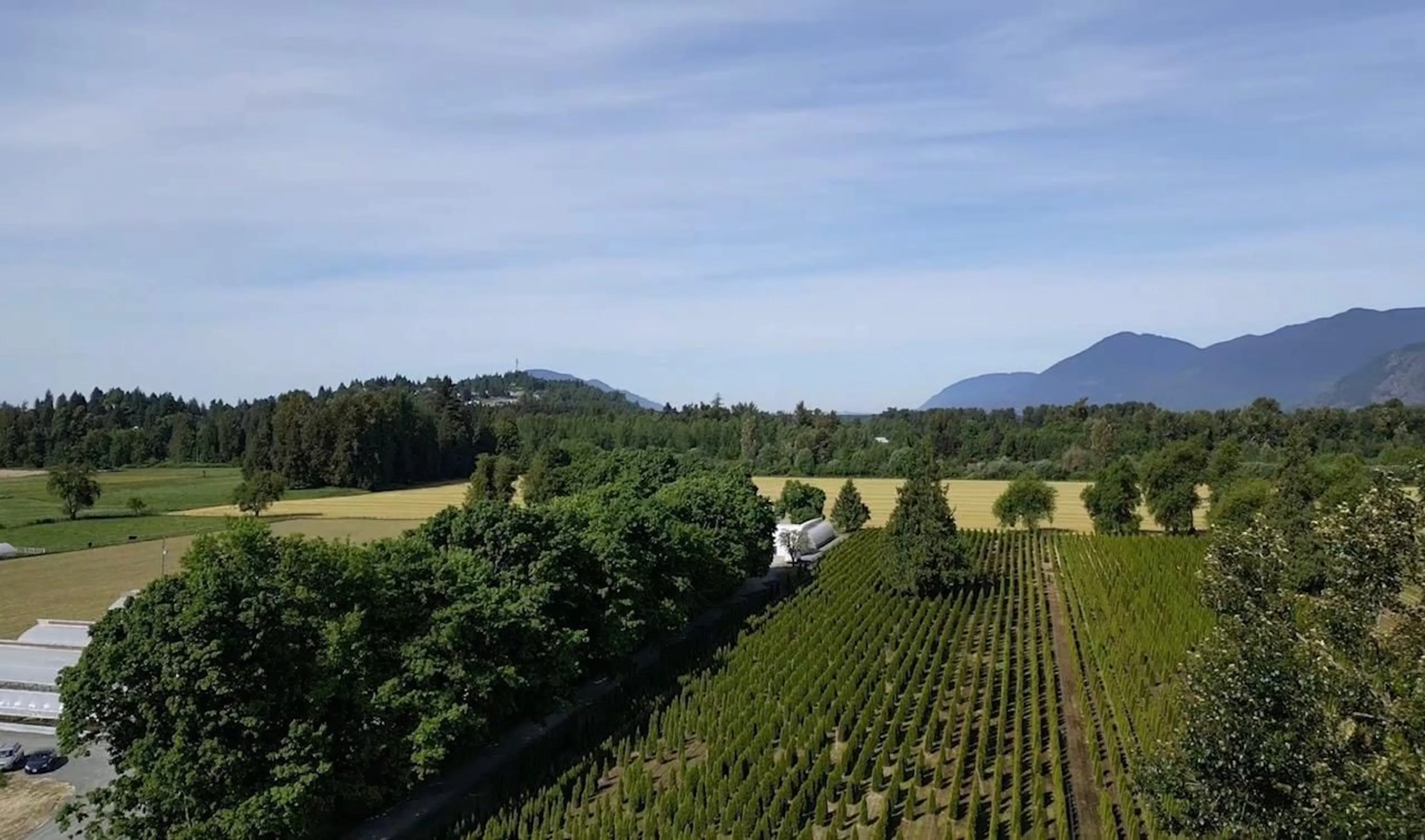 A pic from outside/outdoor area/front of a property/back of a property/a pic from drone, mountain view for 10555 REEVES ROAD, Chilliwack British Columbia V2P6H4