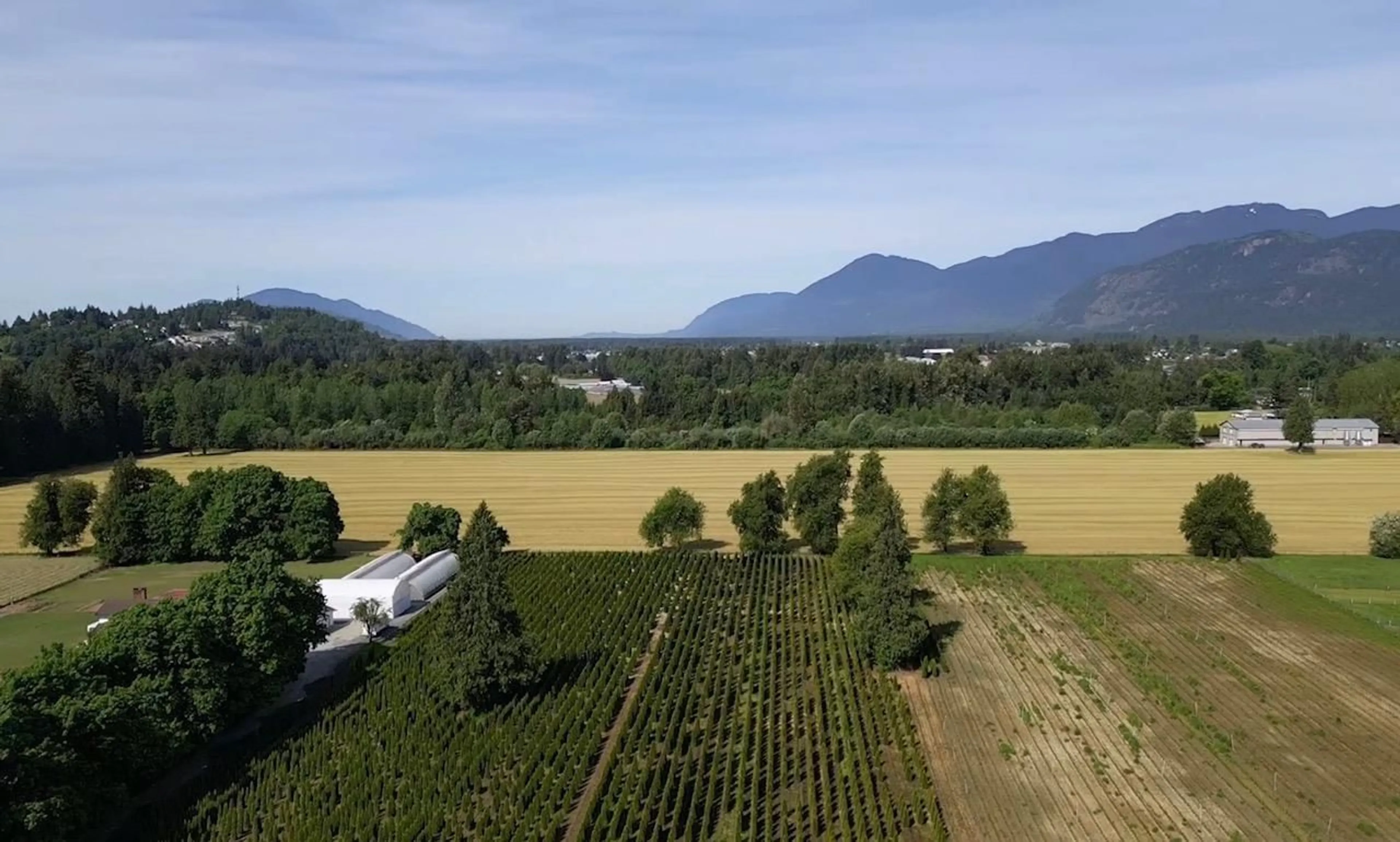 A pic from outside/outdoor area/front of a property/back of a property/a pic from drone, mountain view for 10555 REEVES ROAD, Chilliwack British Columbia V2P6H4