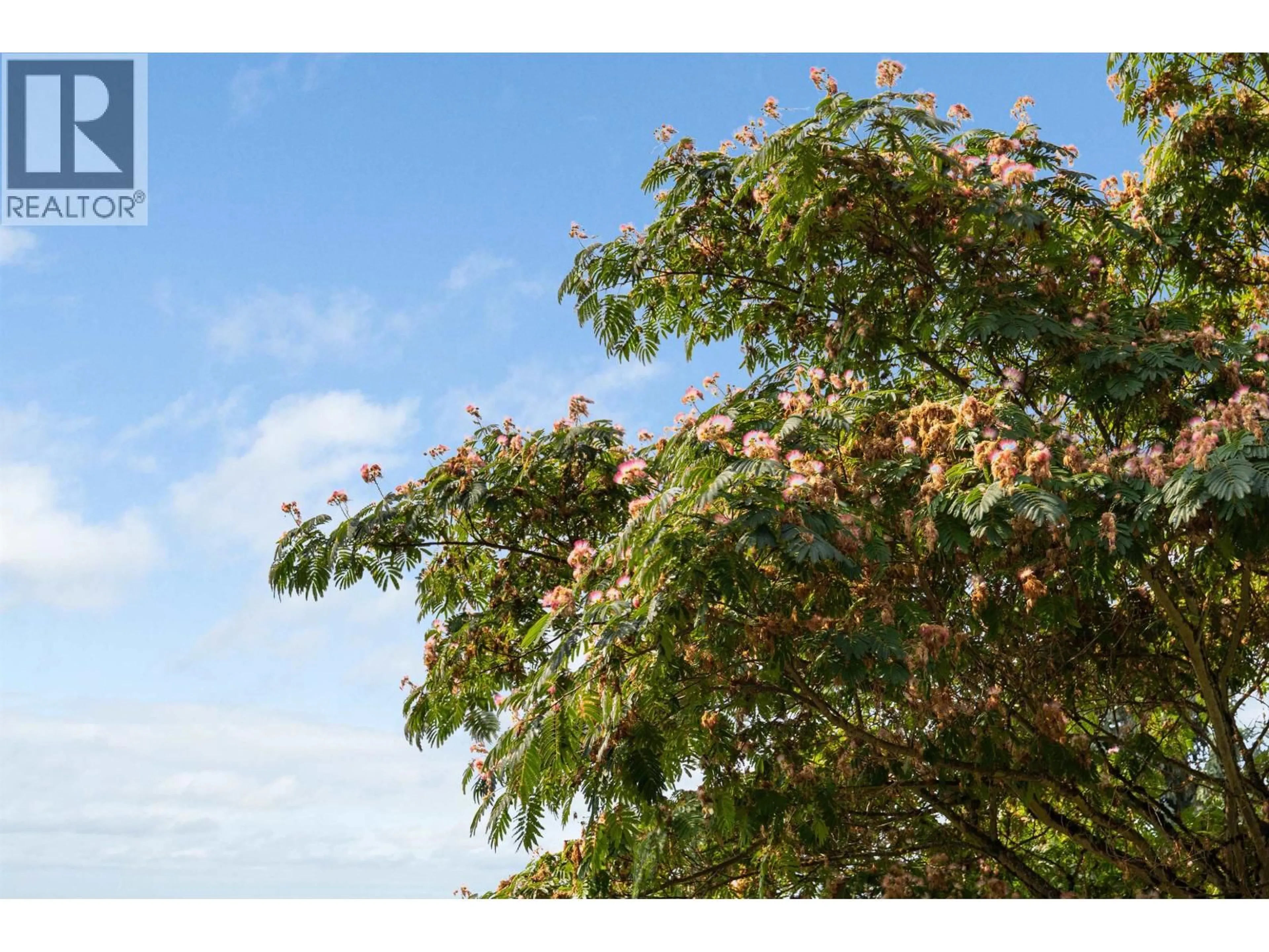 Blurry image for 1240 NEPAL CRESCENT, West Vancouver British Columbia V7T2H3