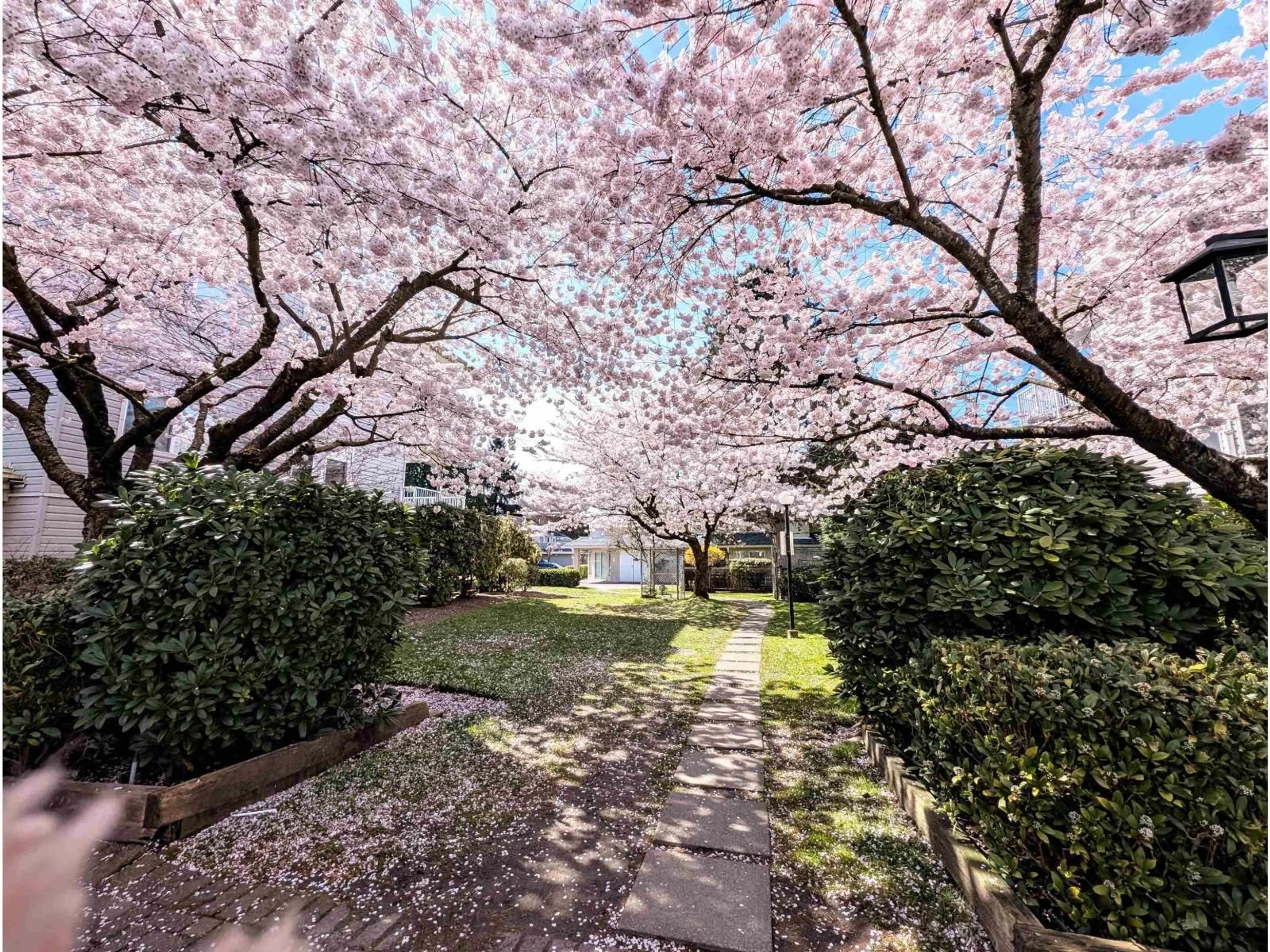 A pic from outside/outdoor area/front of a property/back of a property/a pic from drone, street for 311 - 9948 151 STREET, Surrey British Columbia V3R0V6