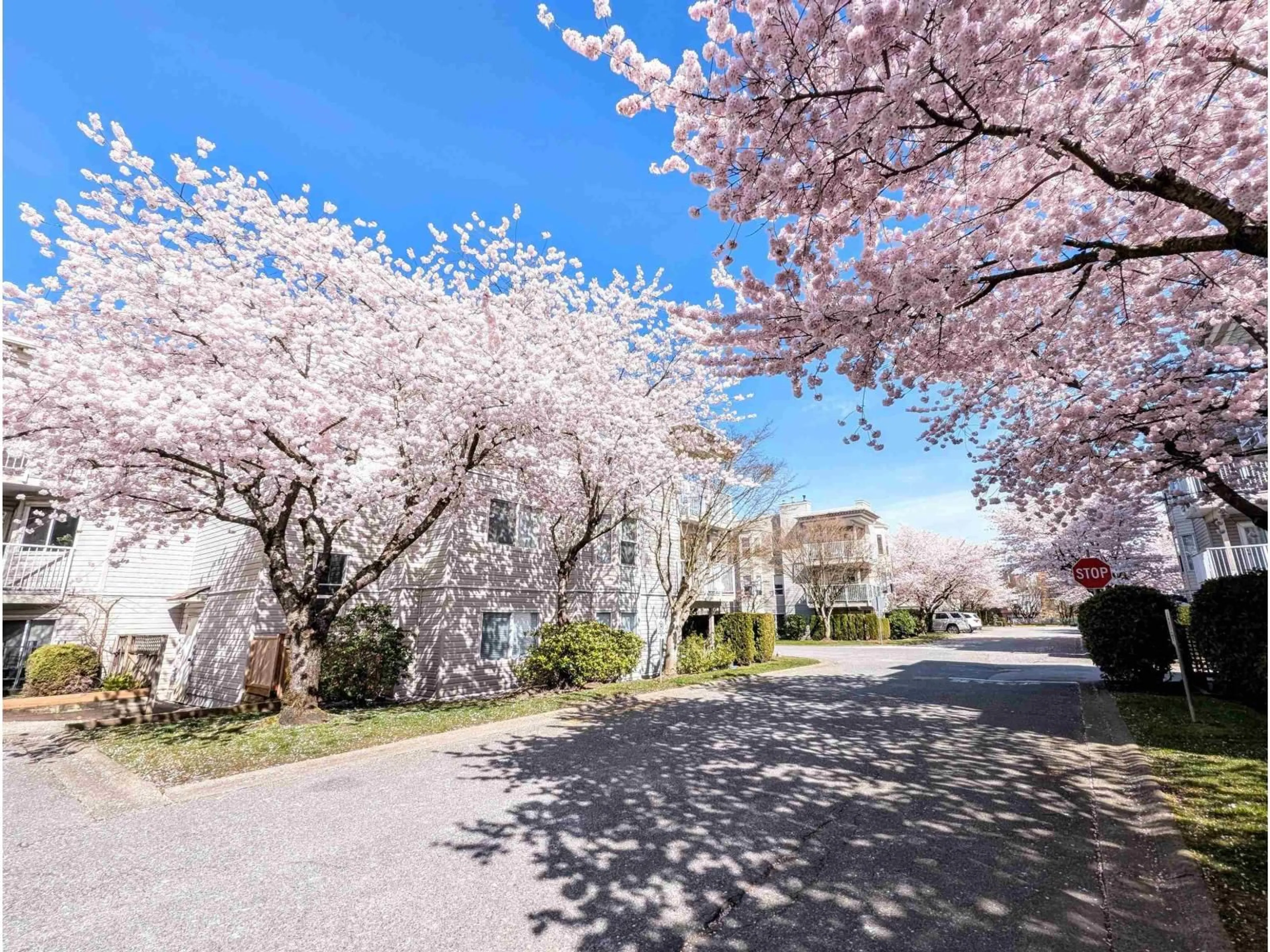 A pic from outside/outdoor area/front of a property/back of a property/a pic from drone, street for 311 - 9948 151 STREET, Surrey British Columbia V3R0V6