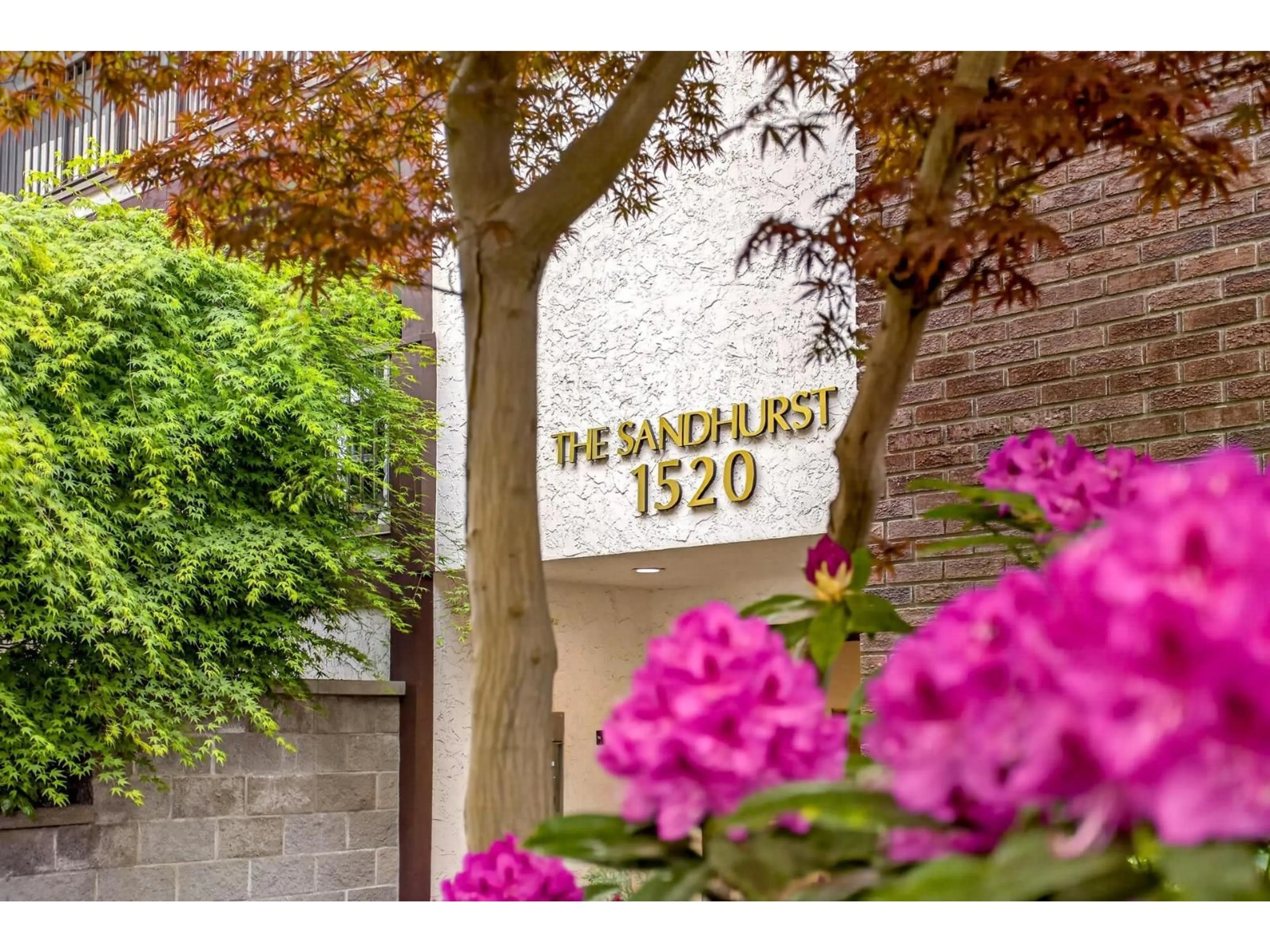 Indoor entryway for 311 - 1520 VIDAL STREET, White Rock British Columbia V4B3T7