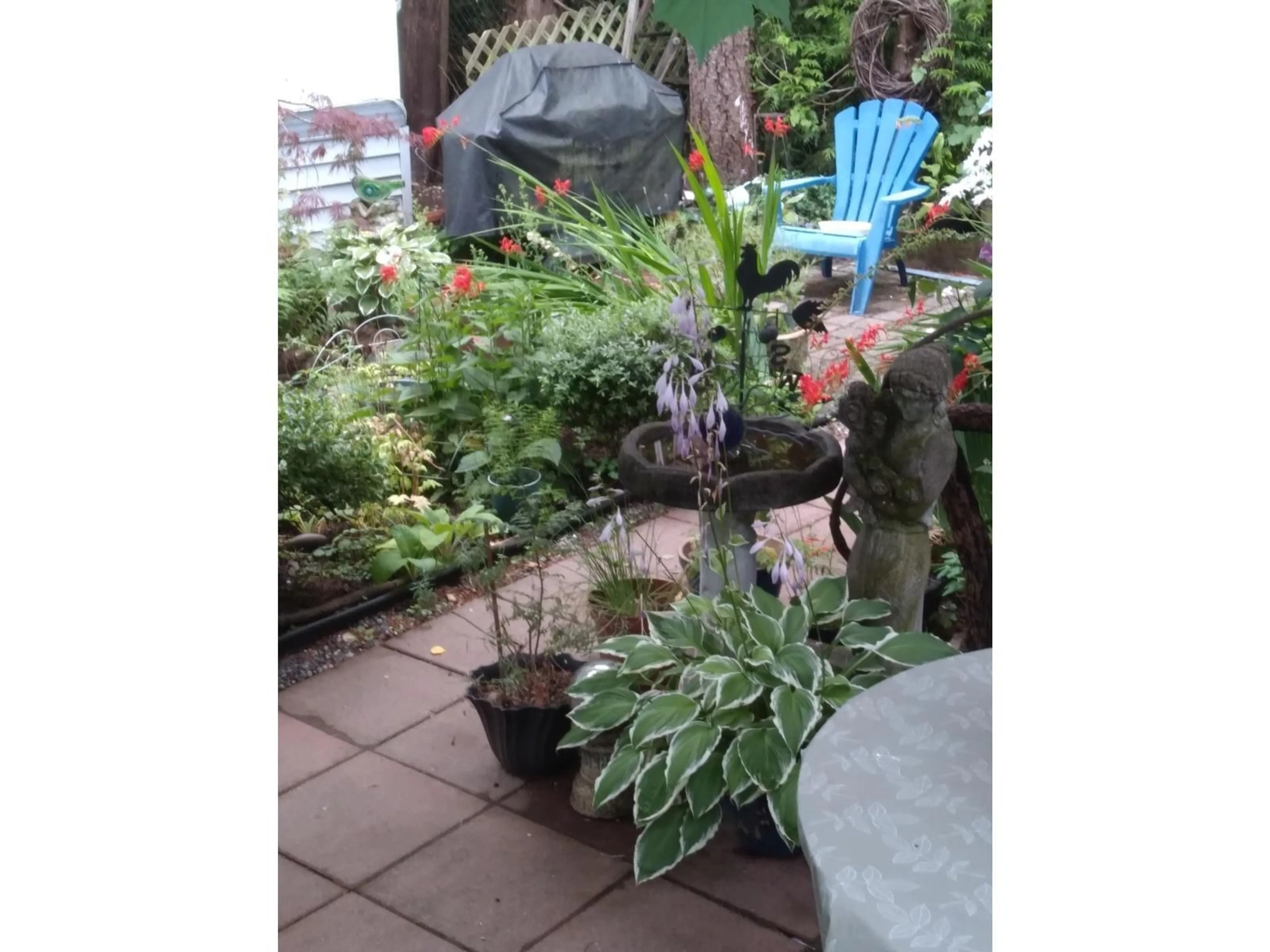 Patio, unknown for 29 - 6571 KING GEORGE BOULEVARD, Surrey British Columbia V3W4Z4