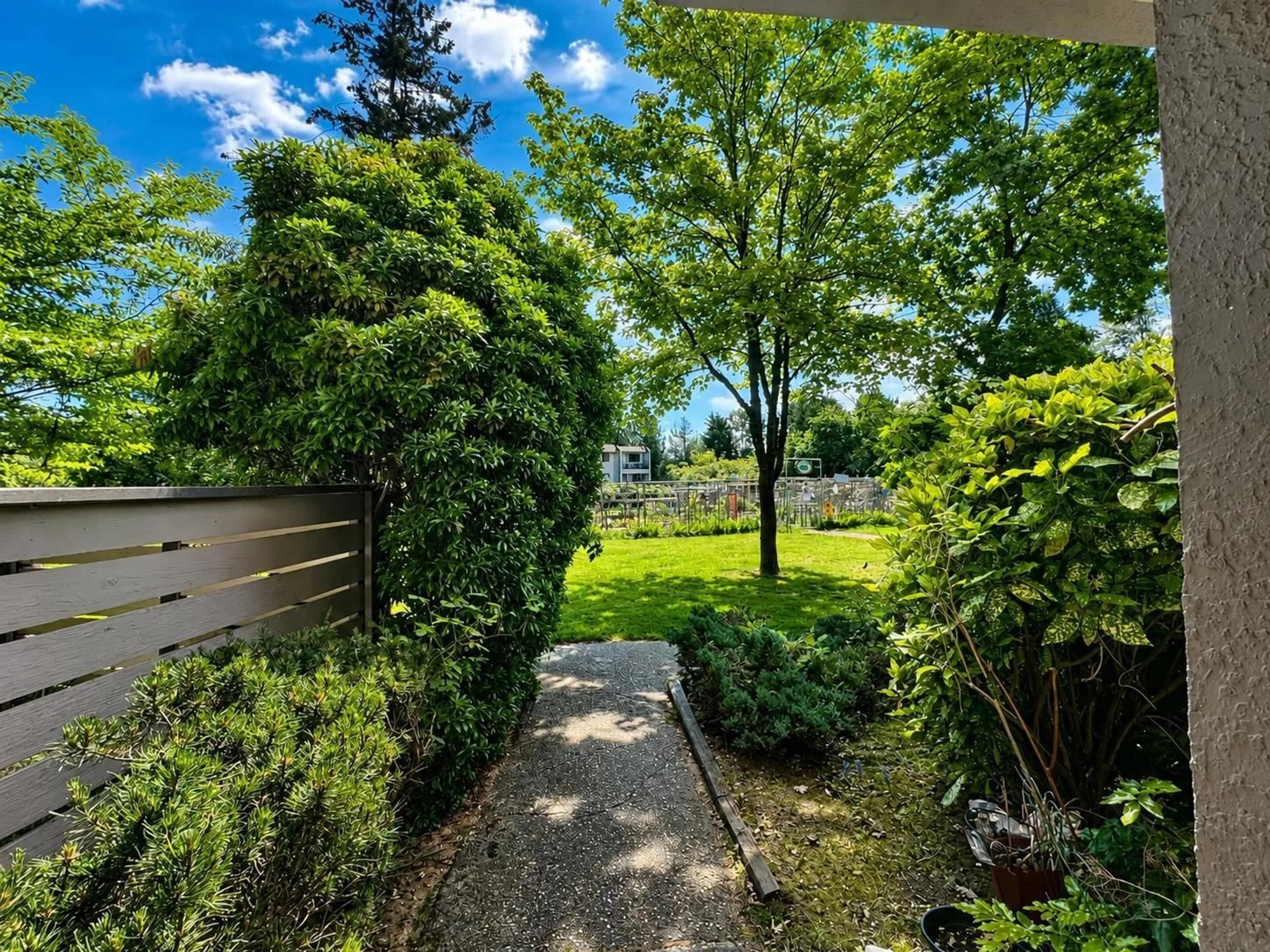 A pic from outside/outdoor area/front of a property/back of a property/a pic from drone, forest/trees view for 10582 HOLLY PARK LANE, Surrey British Columbia V3R6X9