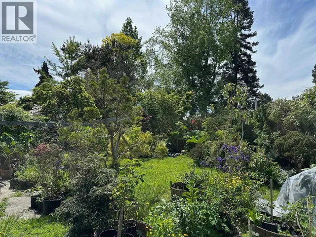 5278 BELAIR DRIVE, Delta 4