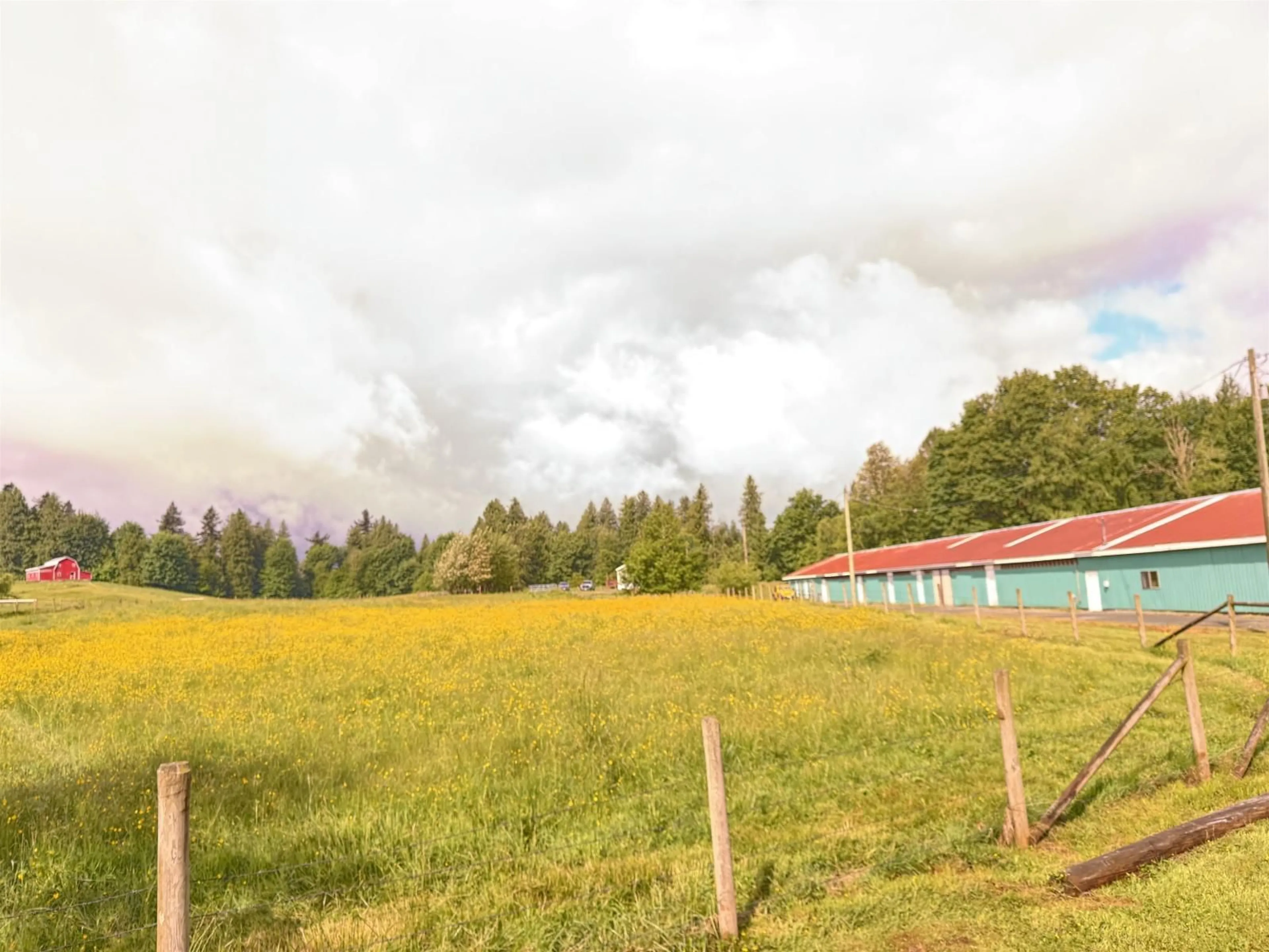 Unknown for 4393 TOWNLINE ROAD, Abbotsford British Columbia V4X1Y7