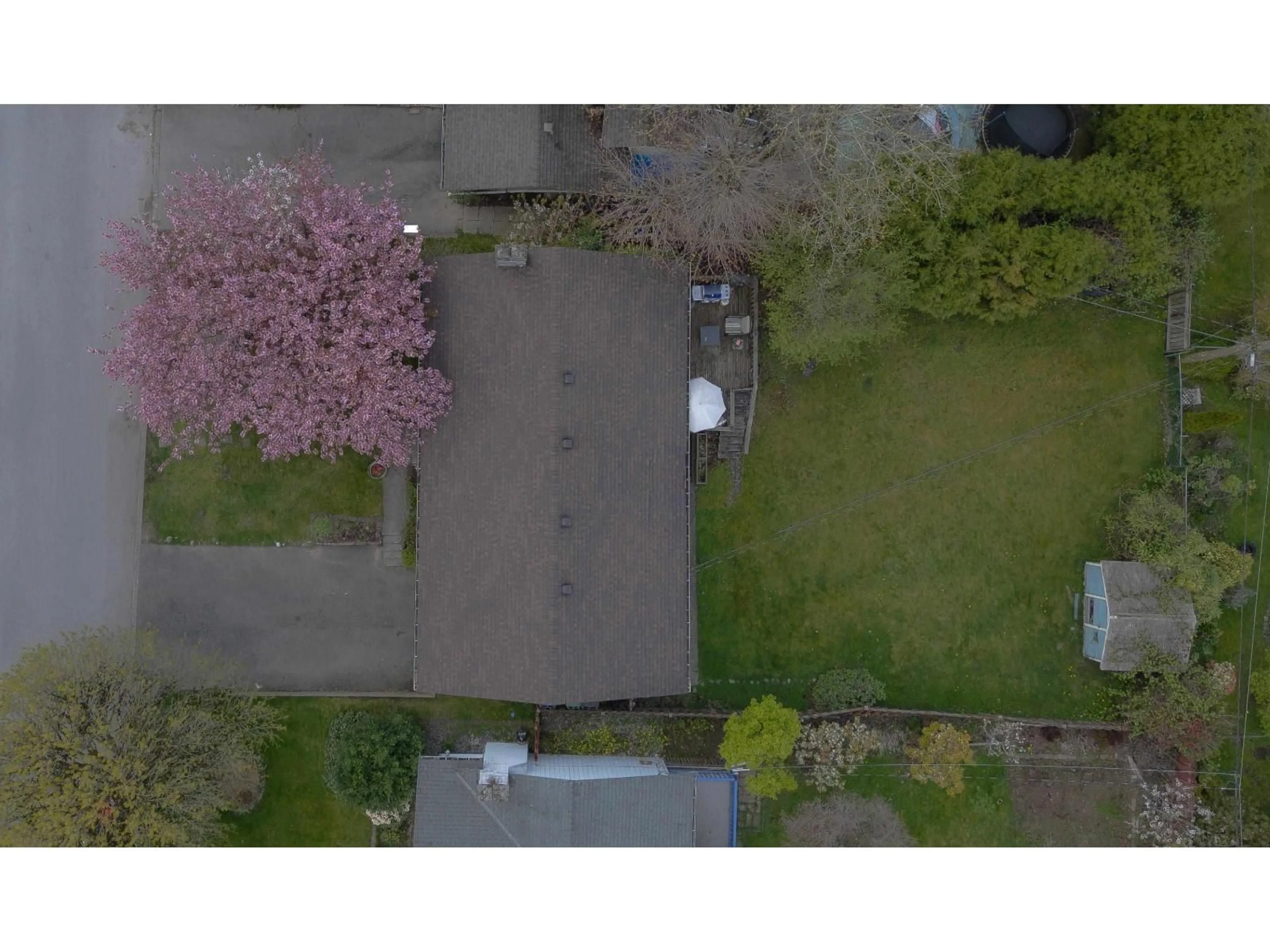 A pic from outside/outdoor area/front of a property/back of a property/a pic from drone, street for 11064 SWAN CRESCENT, Surrey British Columbia V3R5B6