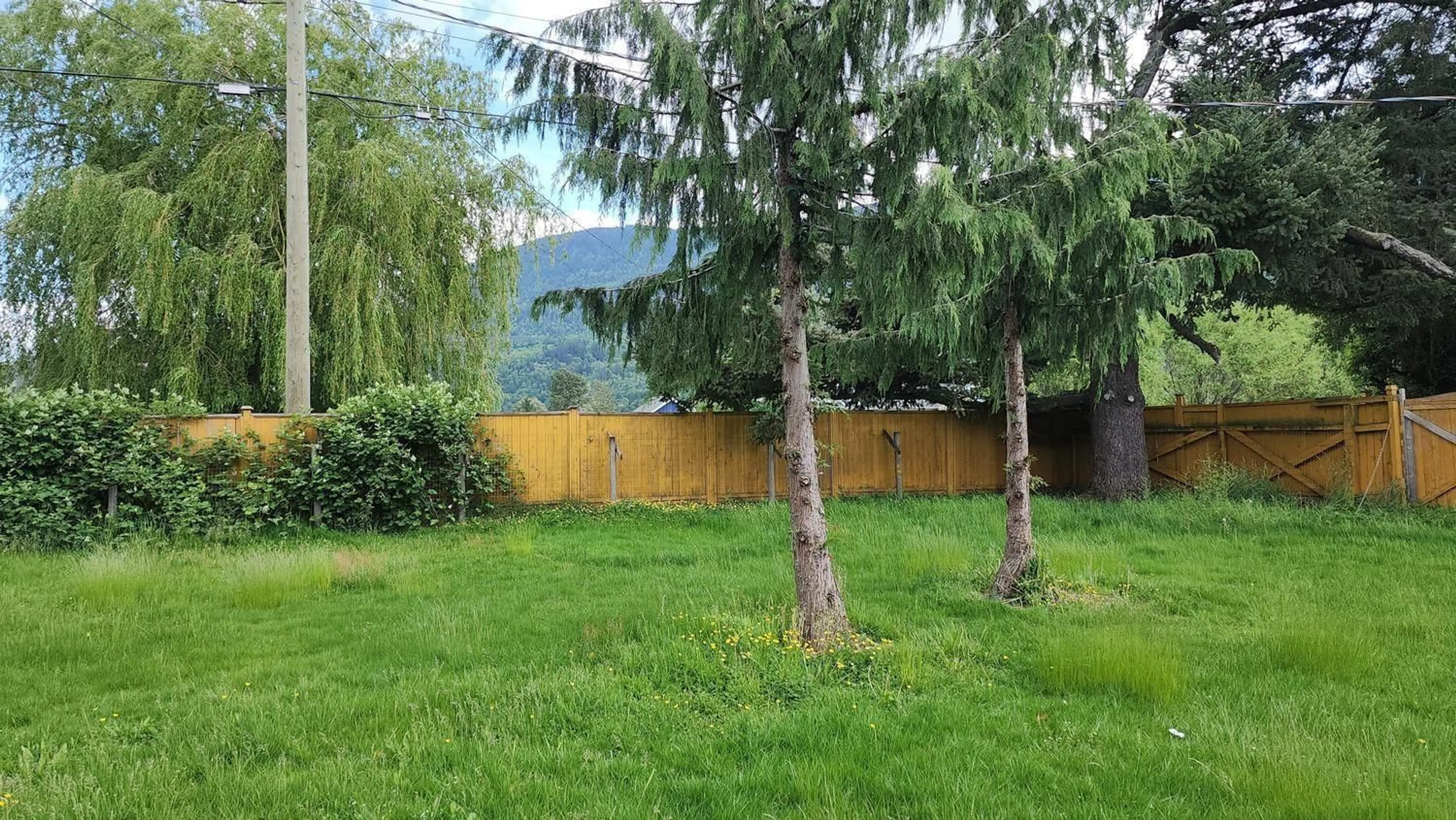 Patio, forest/trees view for 4165 STEWART ROAD, Yarrow British Columbia V2R5G6