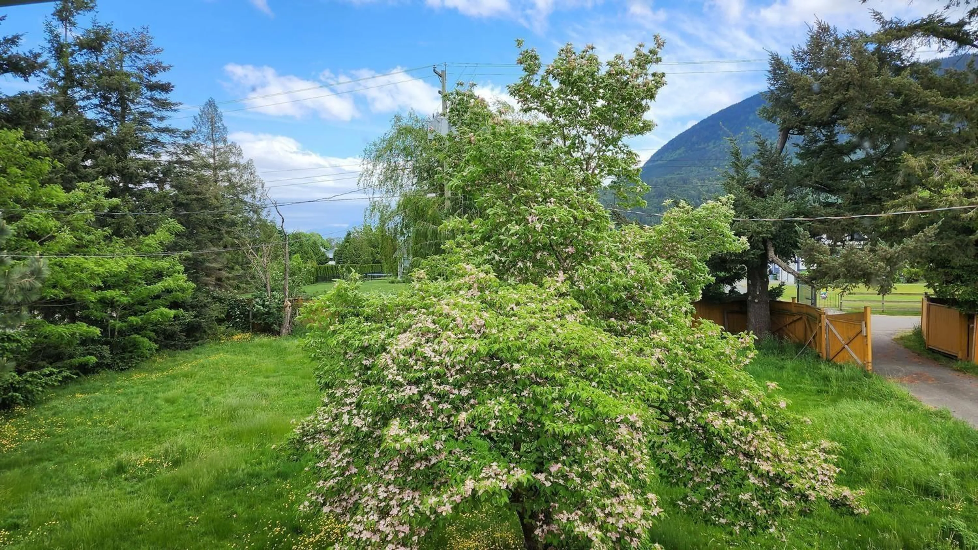 Patio, forest/trees view for 4165 STEWART ROAD, Yarrow British Columbia V2R5G6