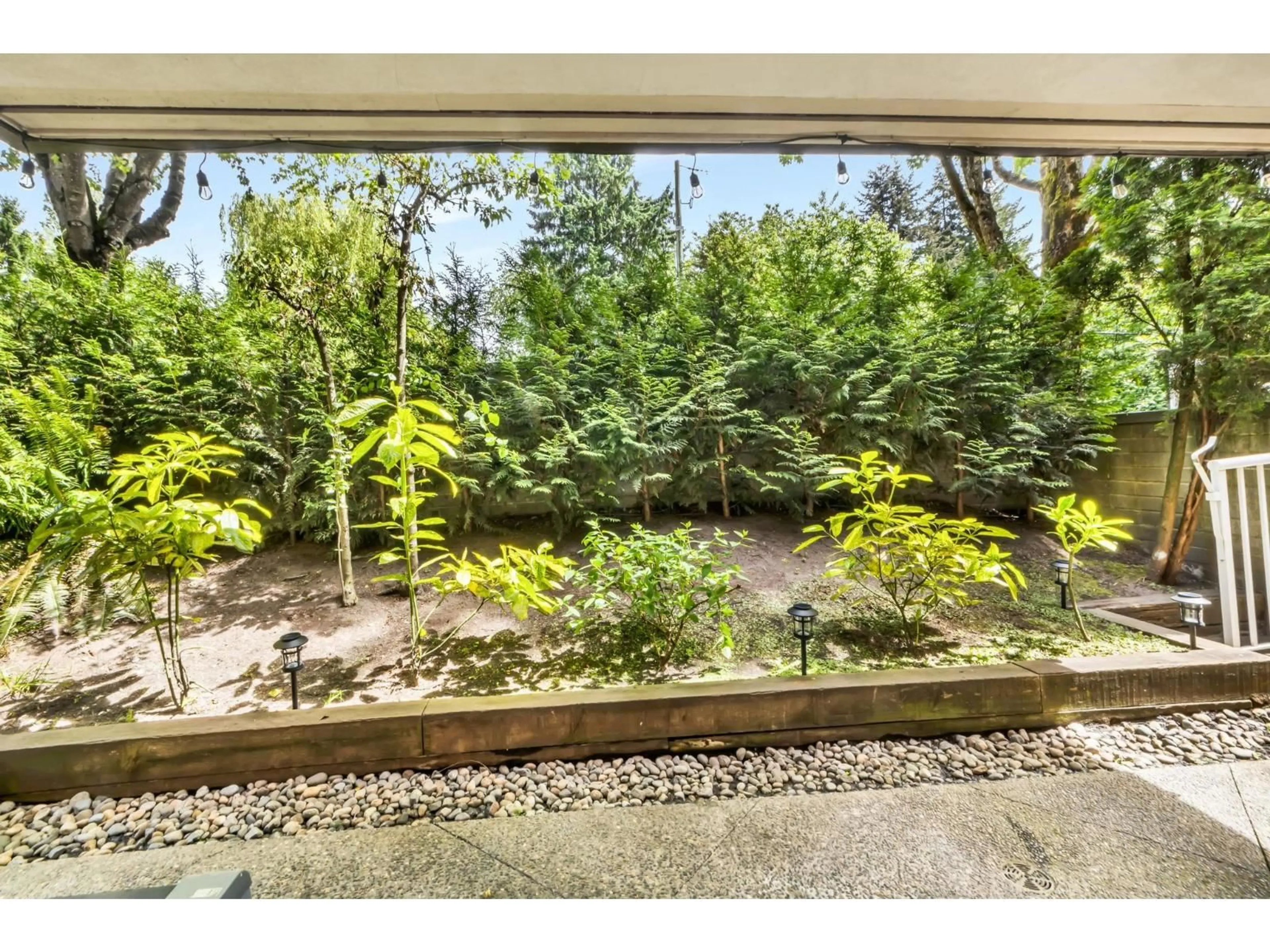 Patio, forest/trees view for 19 - 9977 138 STREET, Surrey British Columbia V3T5E4