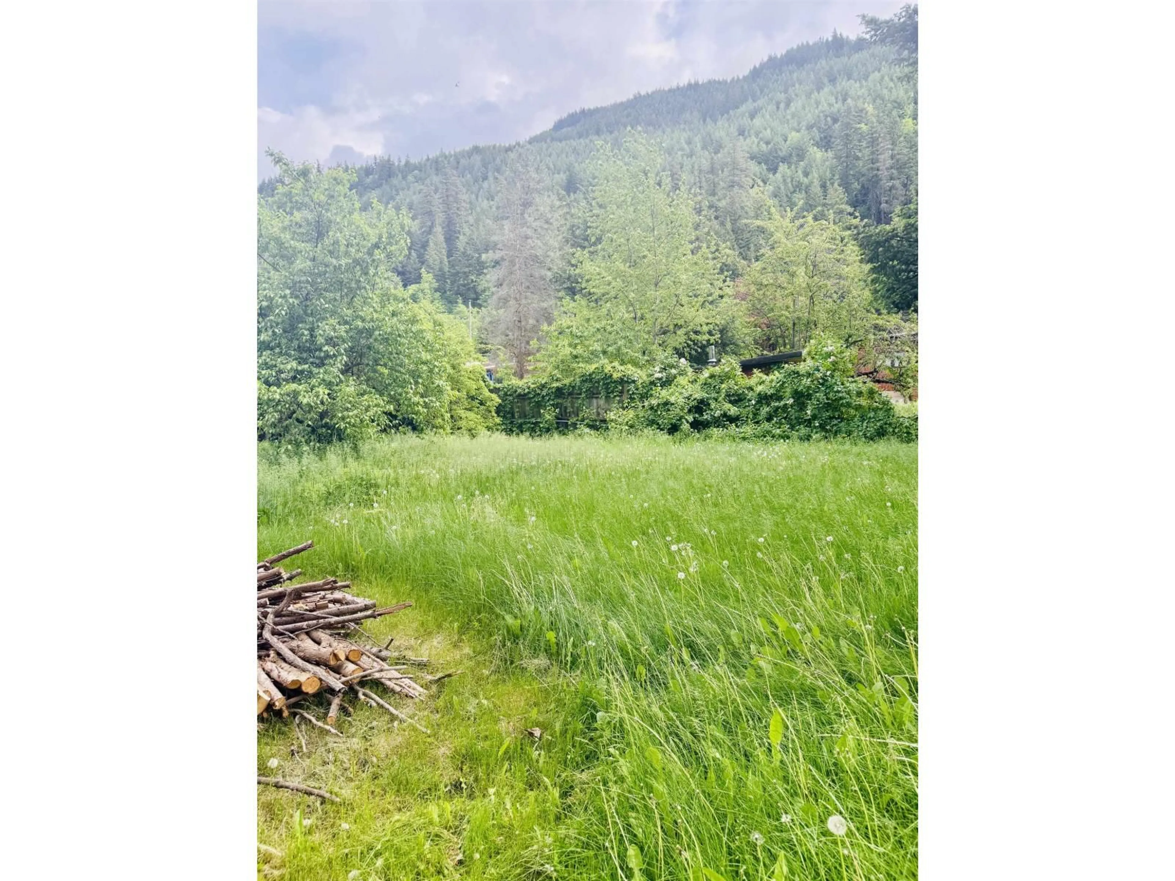 Blurry image for 47404 MACNEAL ROAD, Boston Bar / Lytton British Columbia V0K1C0