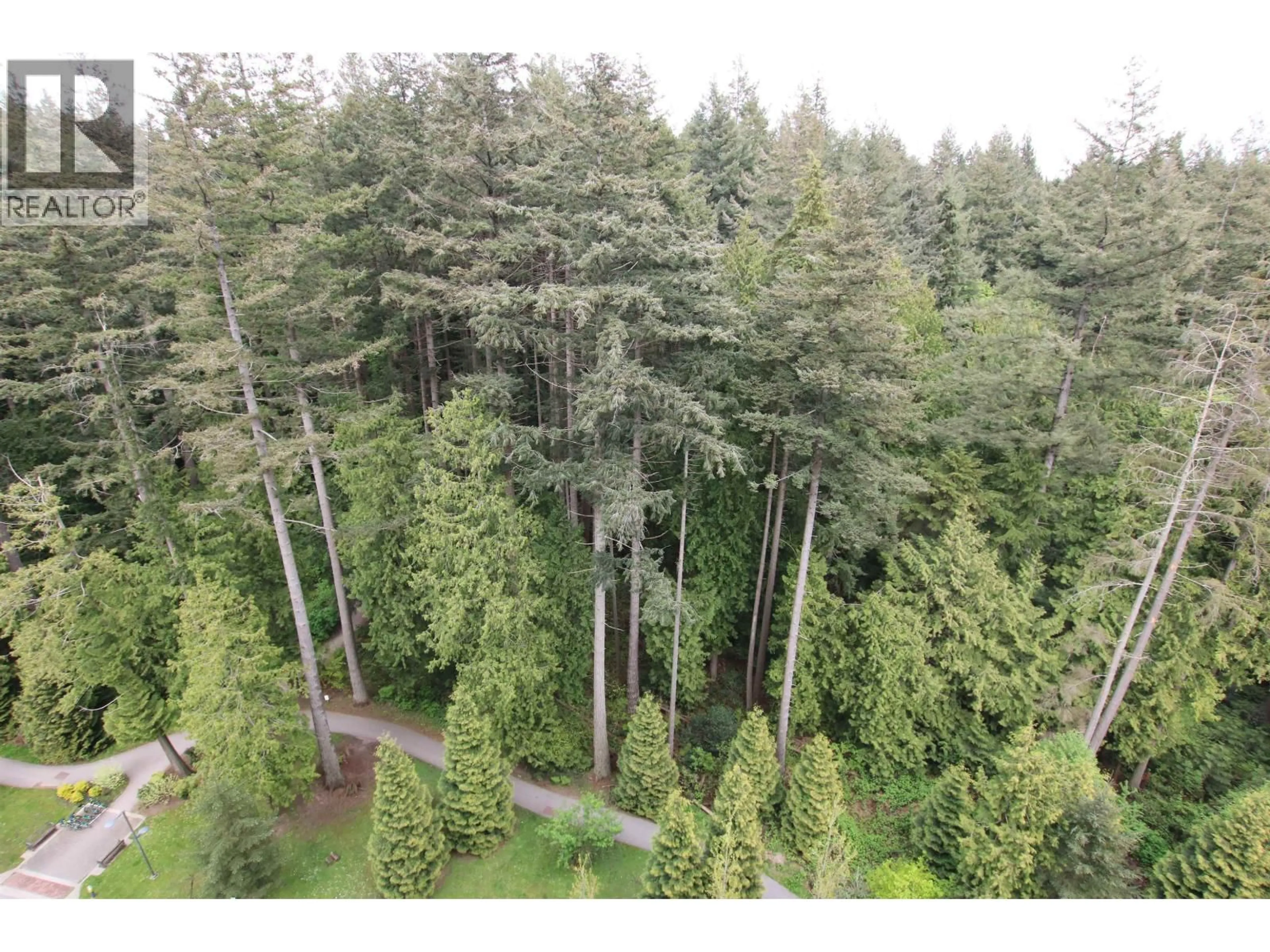 A pic from outside/outdoor area/front of a property/back of a property/a pic from drone, forest/trees view for 1107 - 3487 BINNING ROAD, Vancouver British Columbia V6S0K8