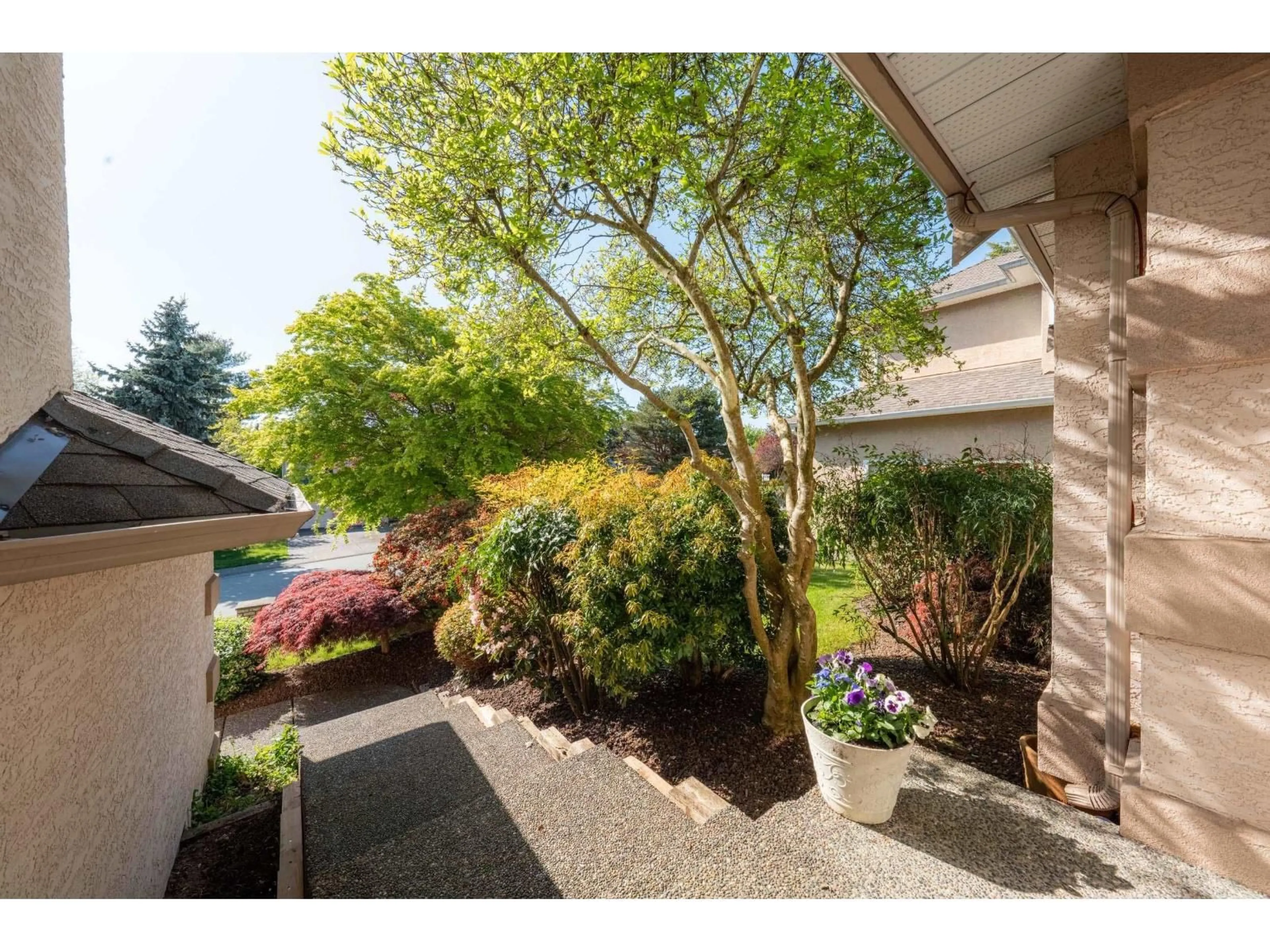 Patio, street for 8030 153A STREET, Surrey British Columbia V3S7X7