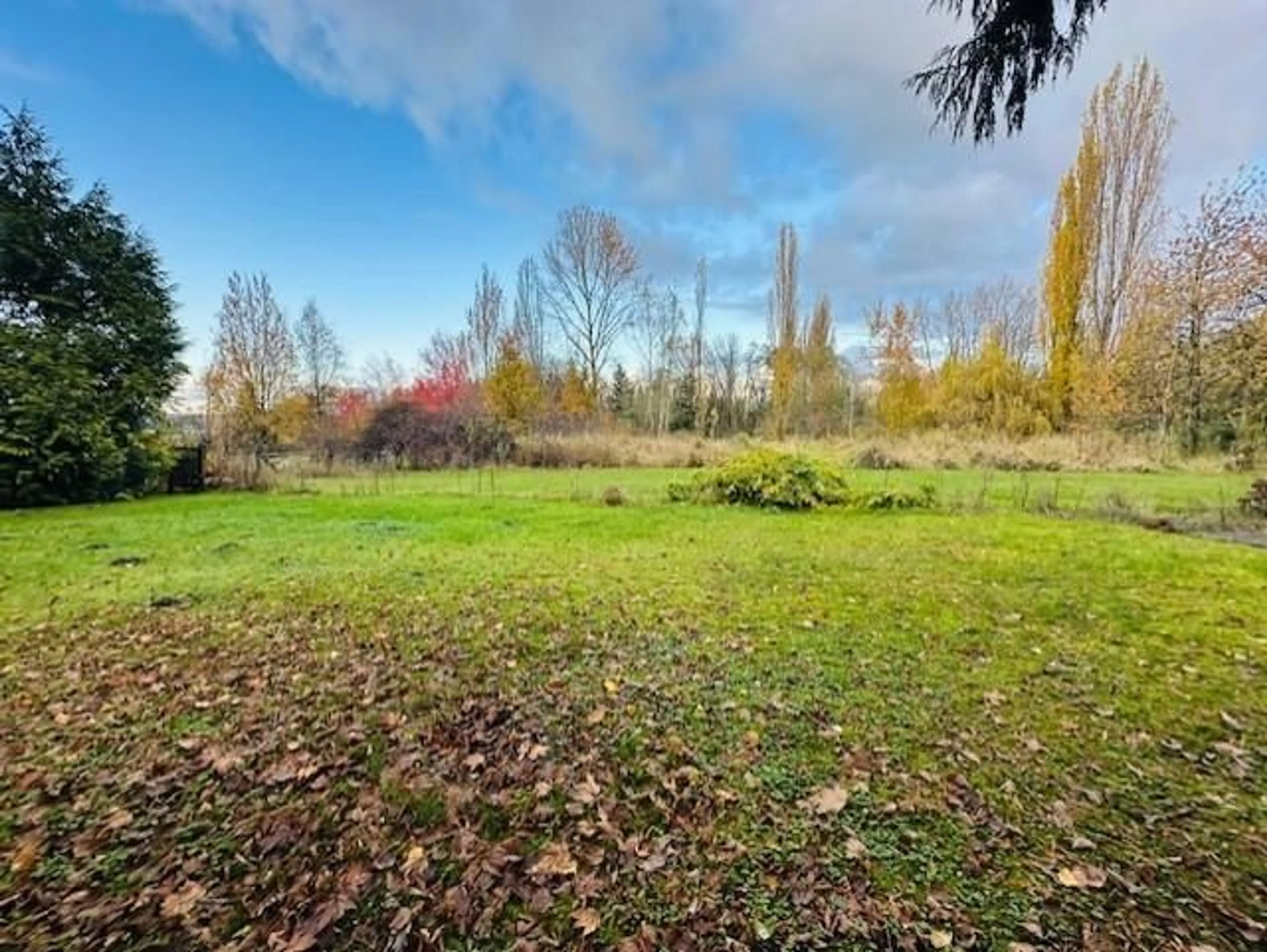 A pic from outside/outdoor area/front of a property/back of a property/a pic from drone, forest/trees view for 18351 74 AVENUE, Surrey British Columbia V4N6C1