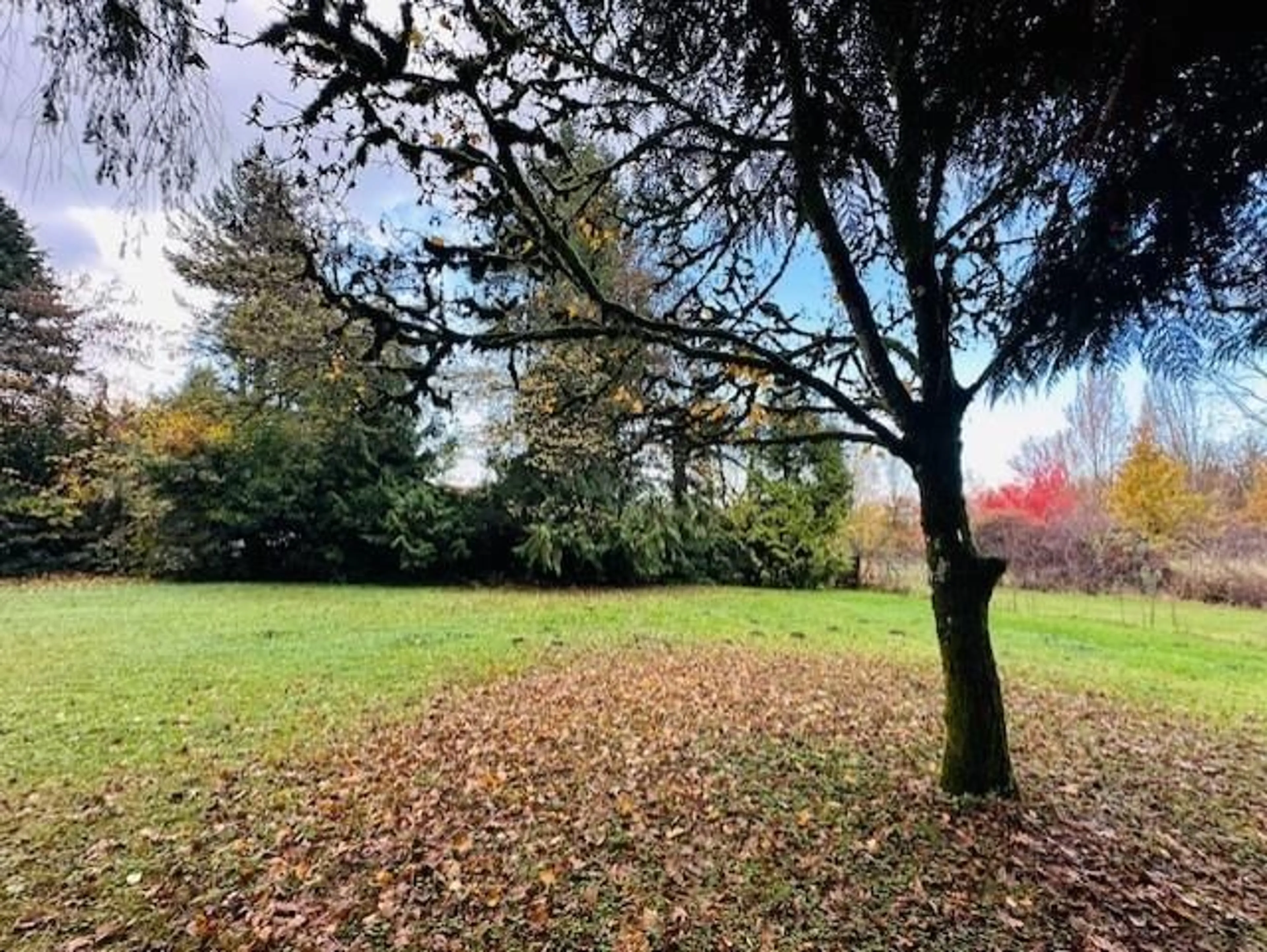 A pic from outside/outdoor area/front of a property/back of a property/a pic from drone, forest/trees view for 18351 74 AVENUE, Surrey British Columbia V4N6C1