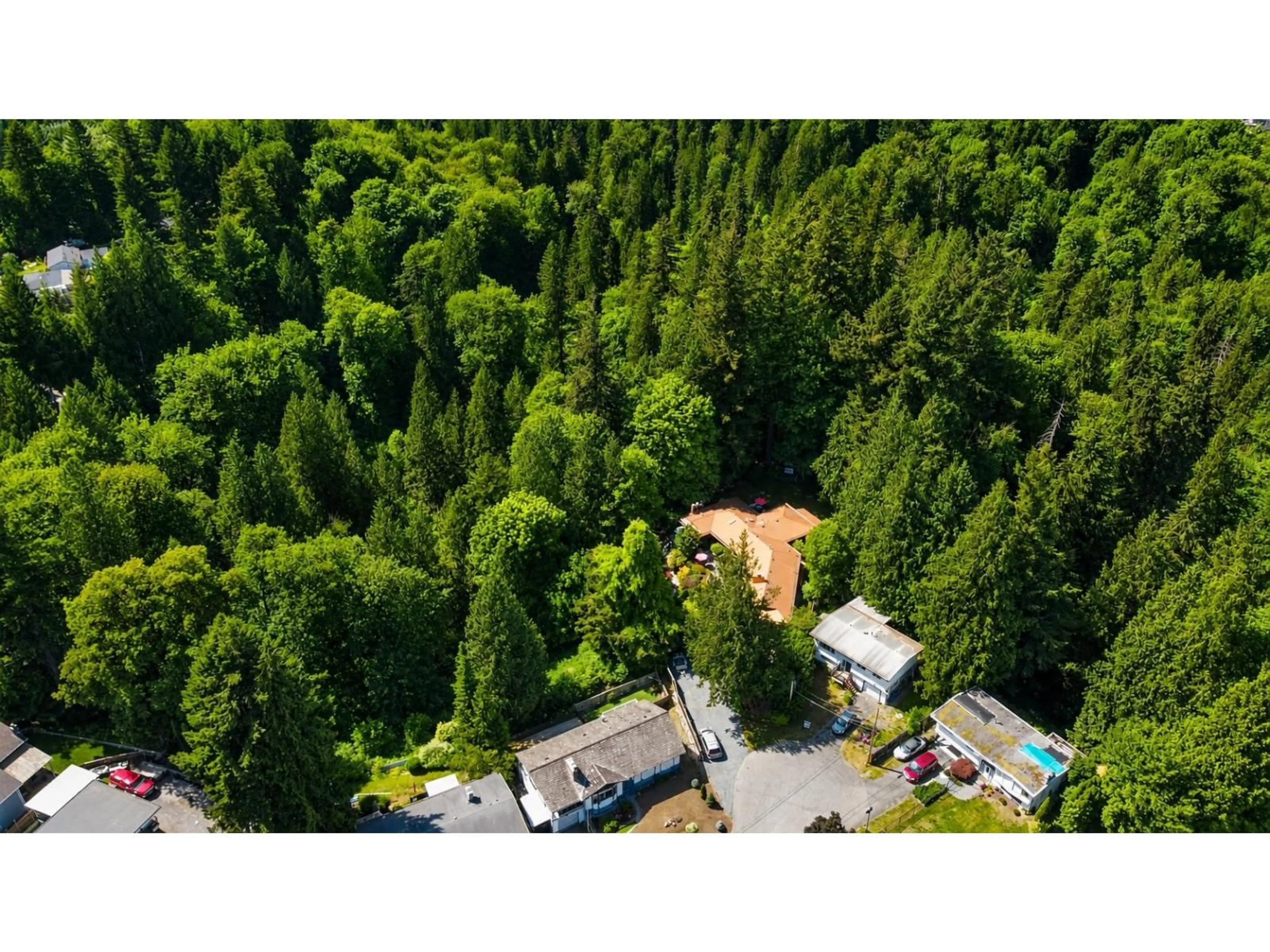 A pic from outside/outdoor area/front of a property/back of a property/a pic from drone, forest/trees view for 7585 BLUEJAY CRESCENT, Mission British Columbia V2V2Z5