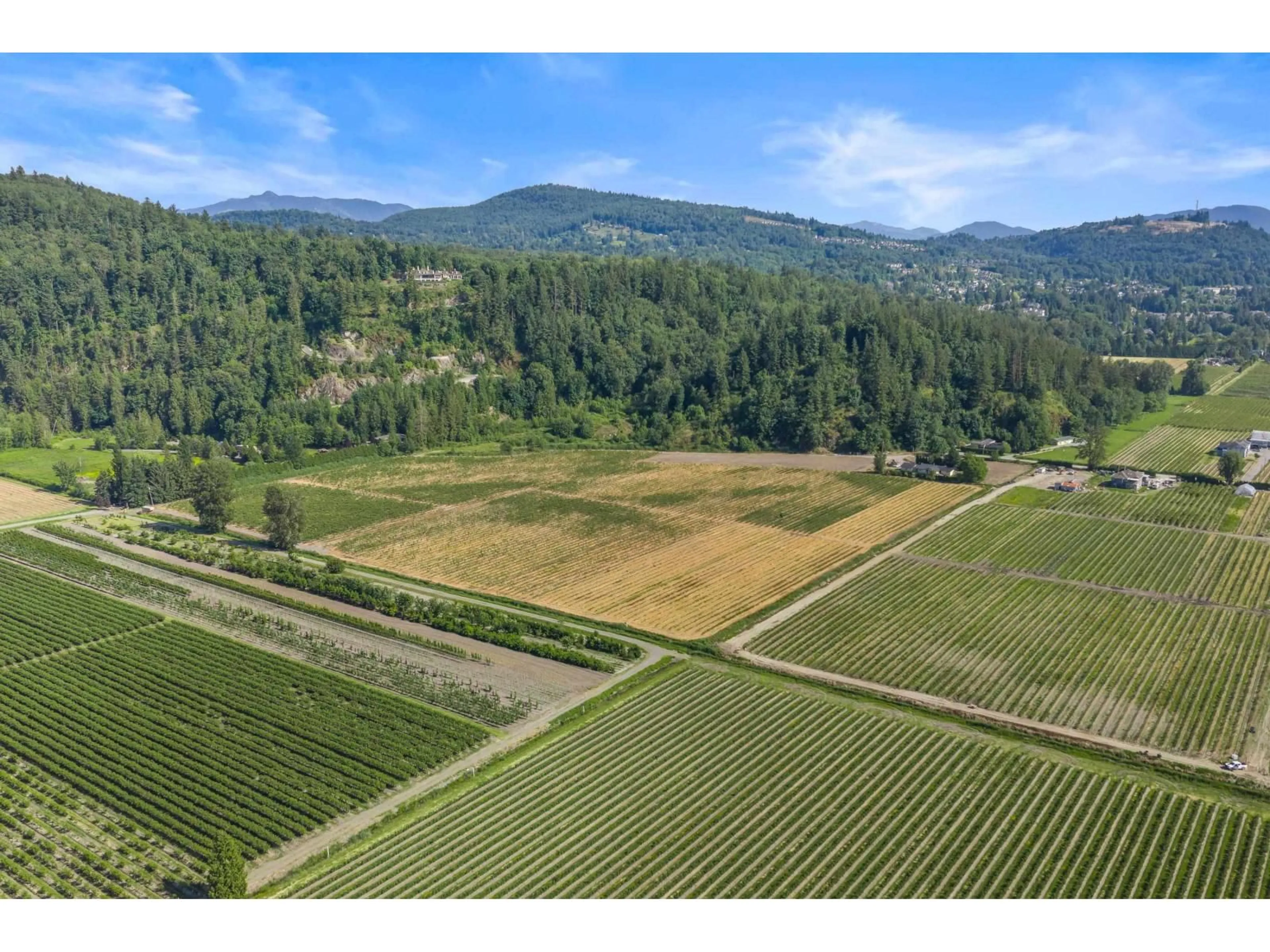 A pic from outside/outdoor area/front of a property/back of a property/a pic from drone, mountain view for 35011 TOWNSHIPLINE ROAD, Abbotsford British Columbia V3G1R5