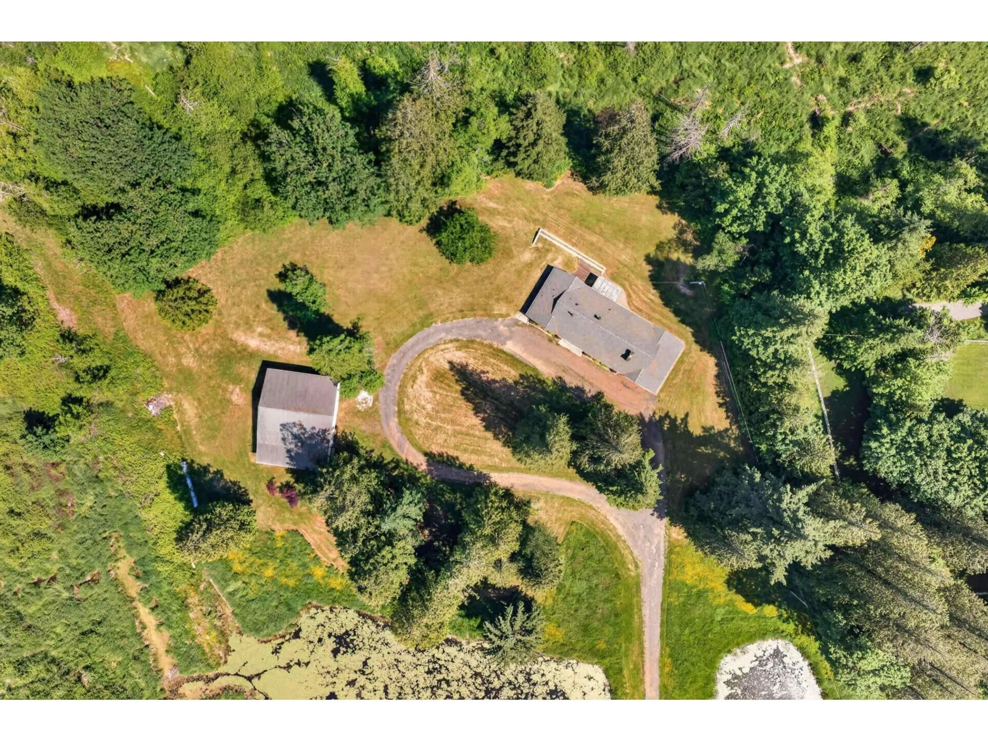 A pic from outside/outdoor area/front of a property/back of a property/a pic from drone, forest/trees view for 22065 102 AVENUE, Langley British Columbia V1M3V3